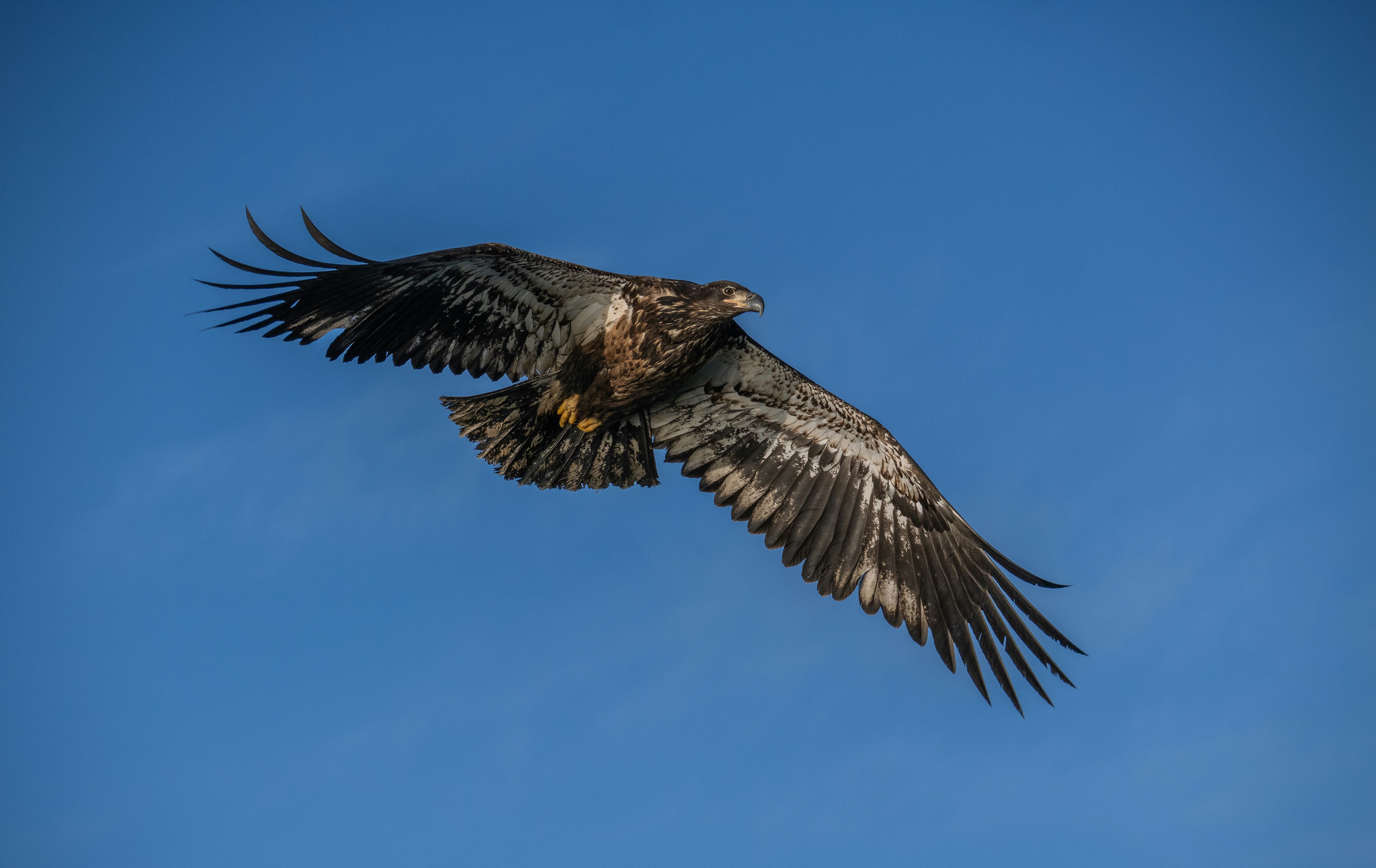 Photo by huntermastersmusic