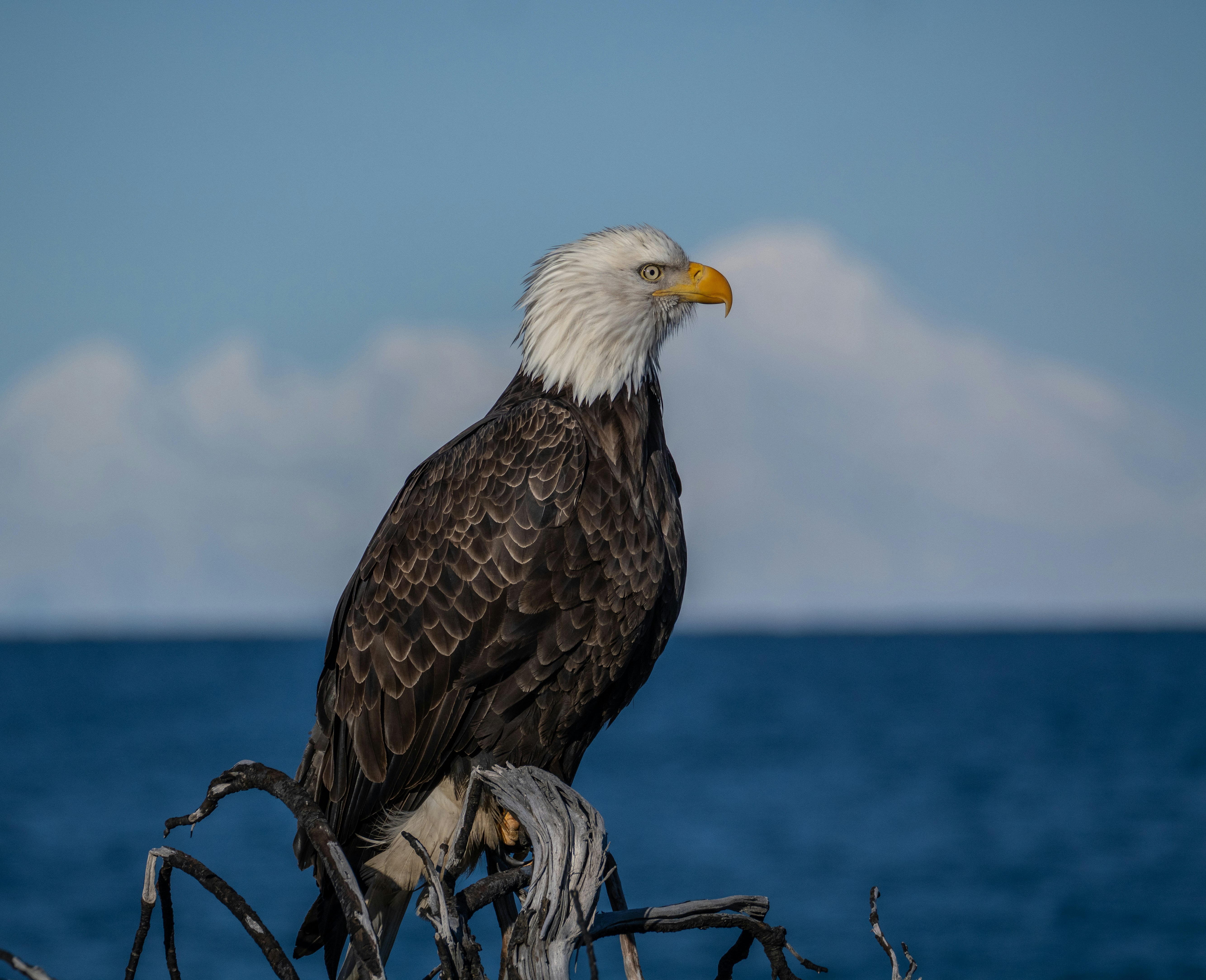 Photo by huntermastersmusic