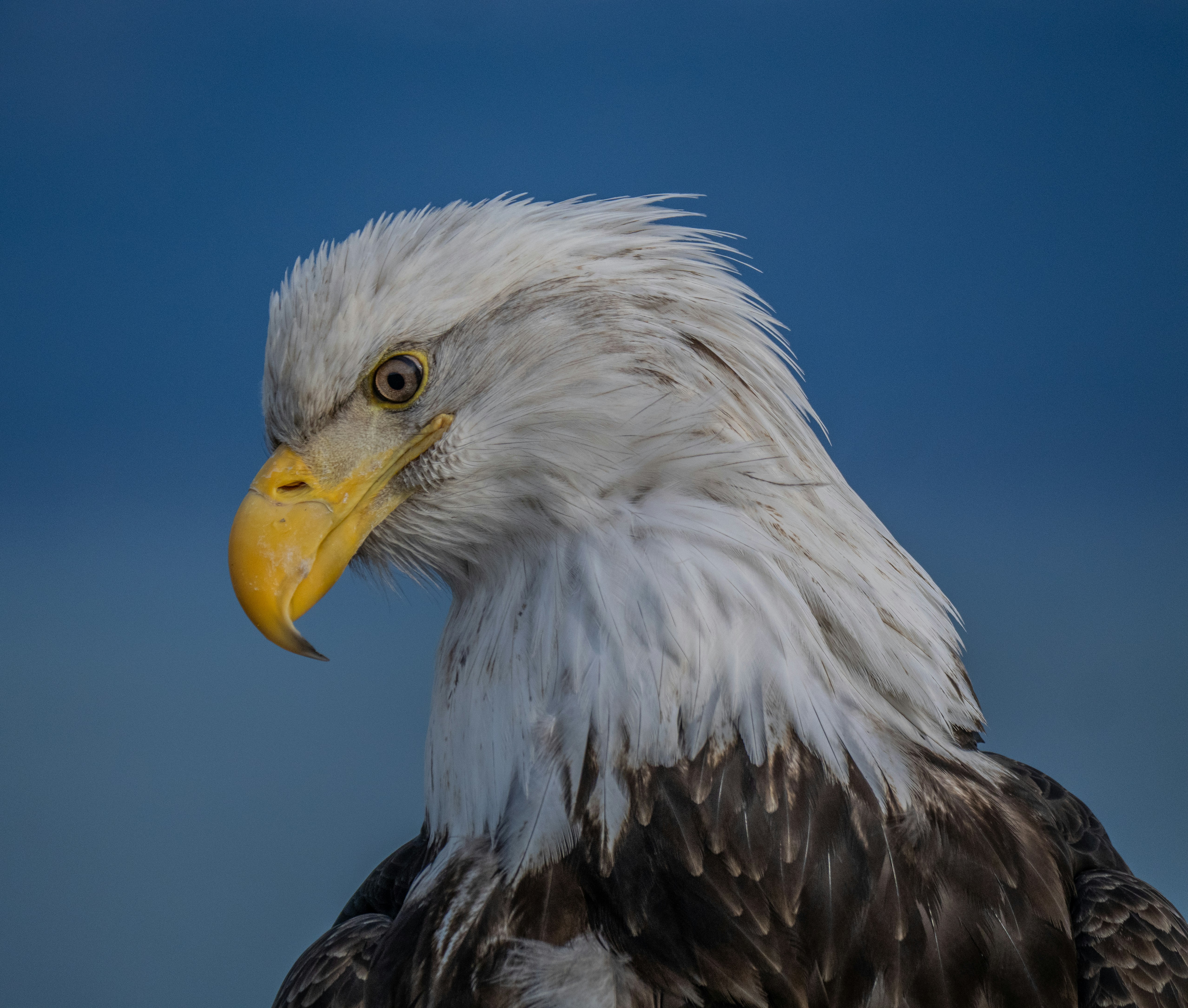 Photo by huntermastersmusic