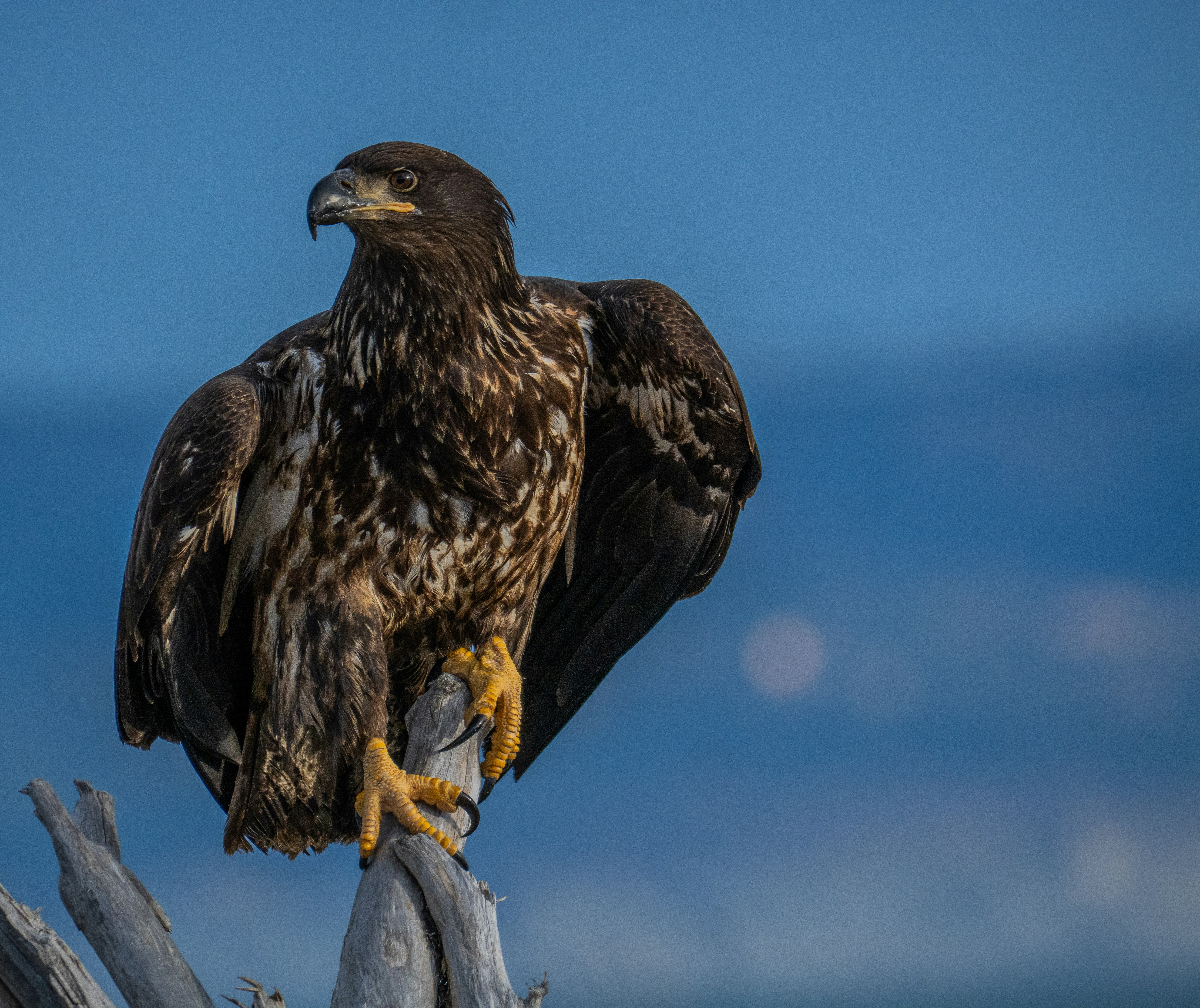 Photo by huntermastersmusic