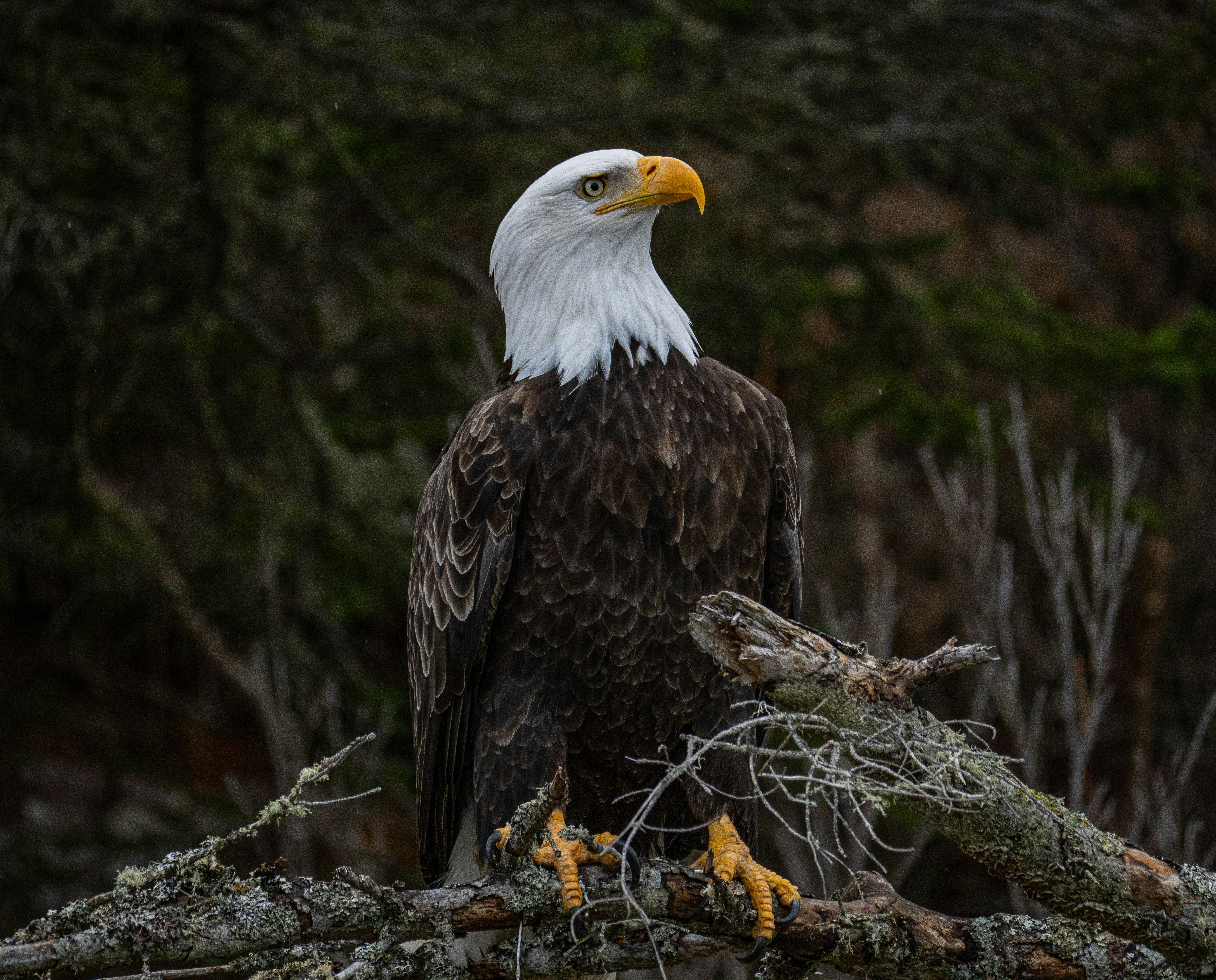 Photo by huntermastersmusic