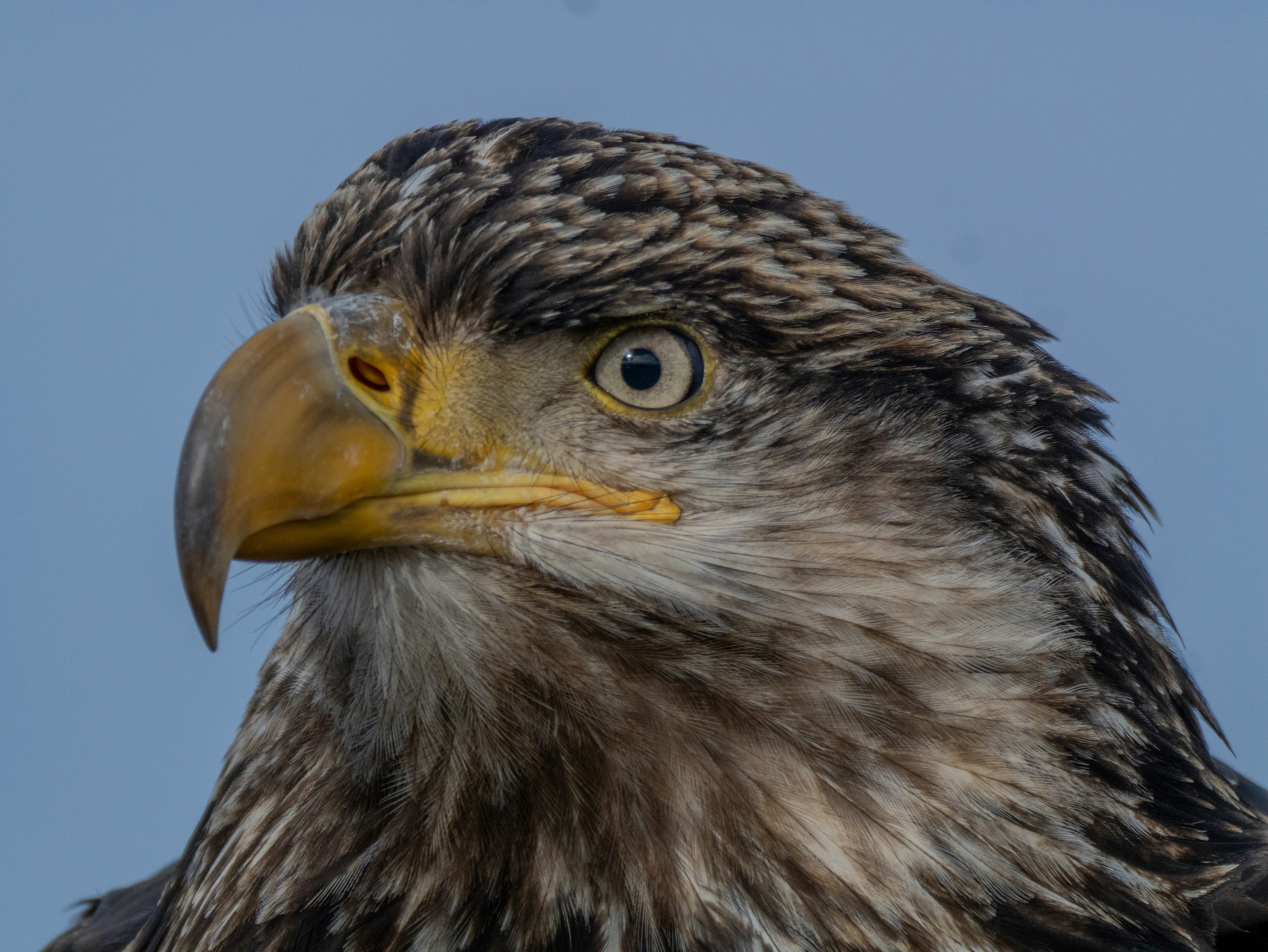 Photo by huntermastersmusic