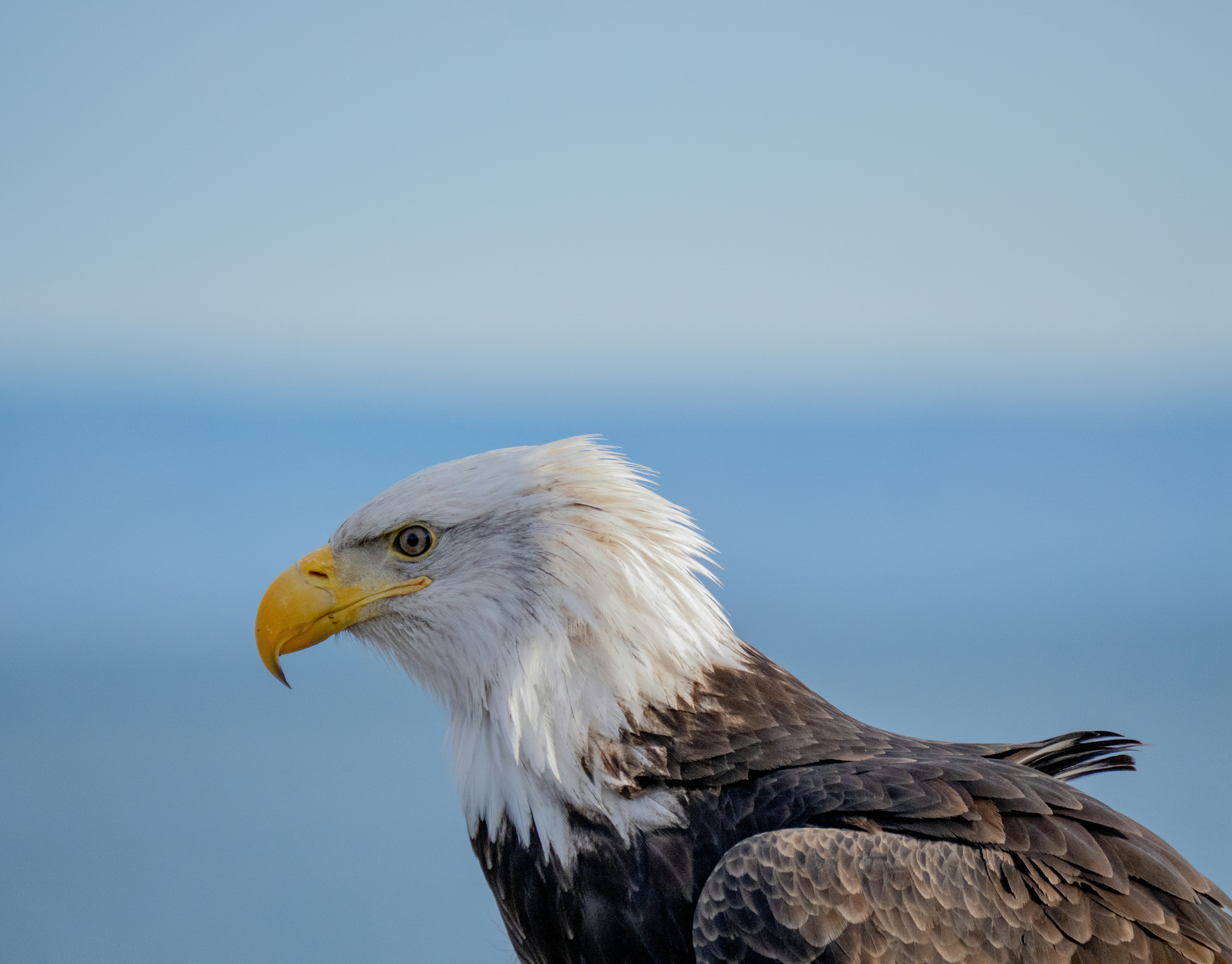 Photo by huntermastersmusic