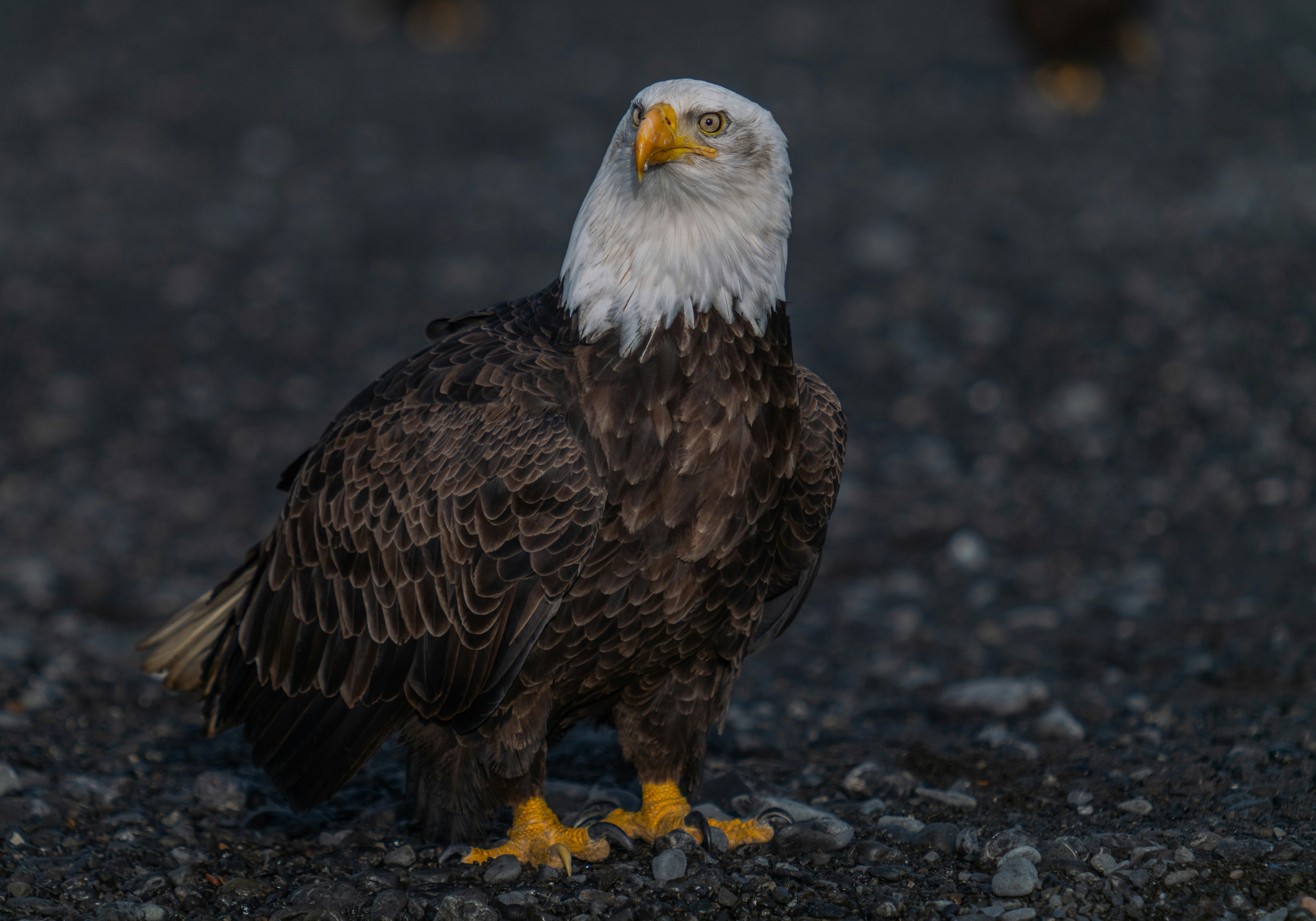 Photo by huntermastersmusic