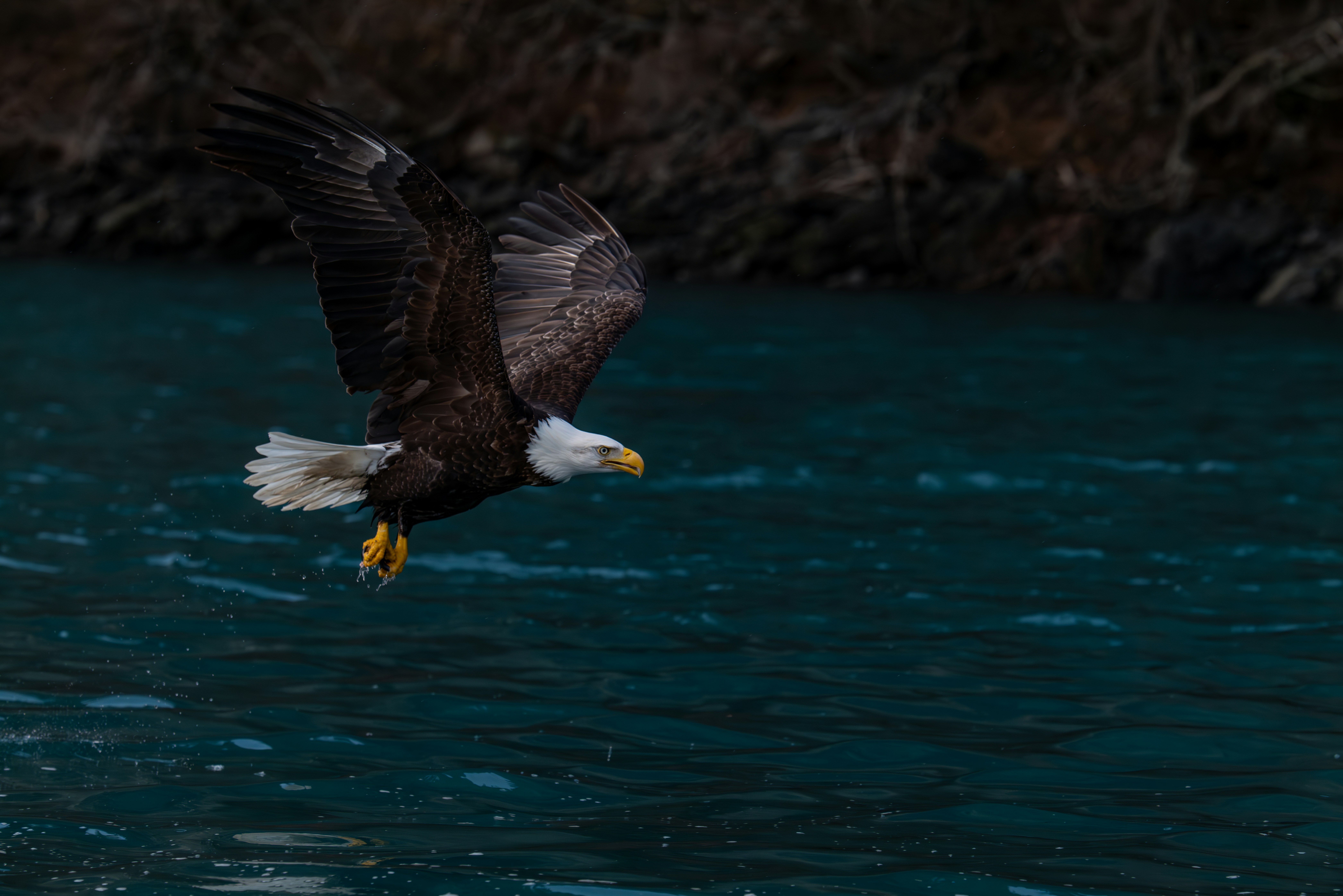 Photo by huntermastersmusic