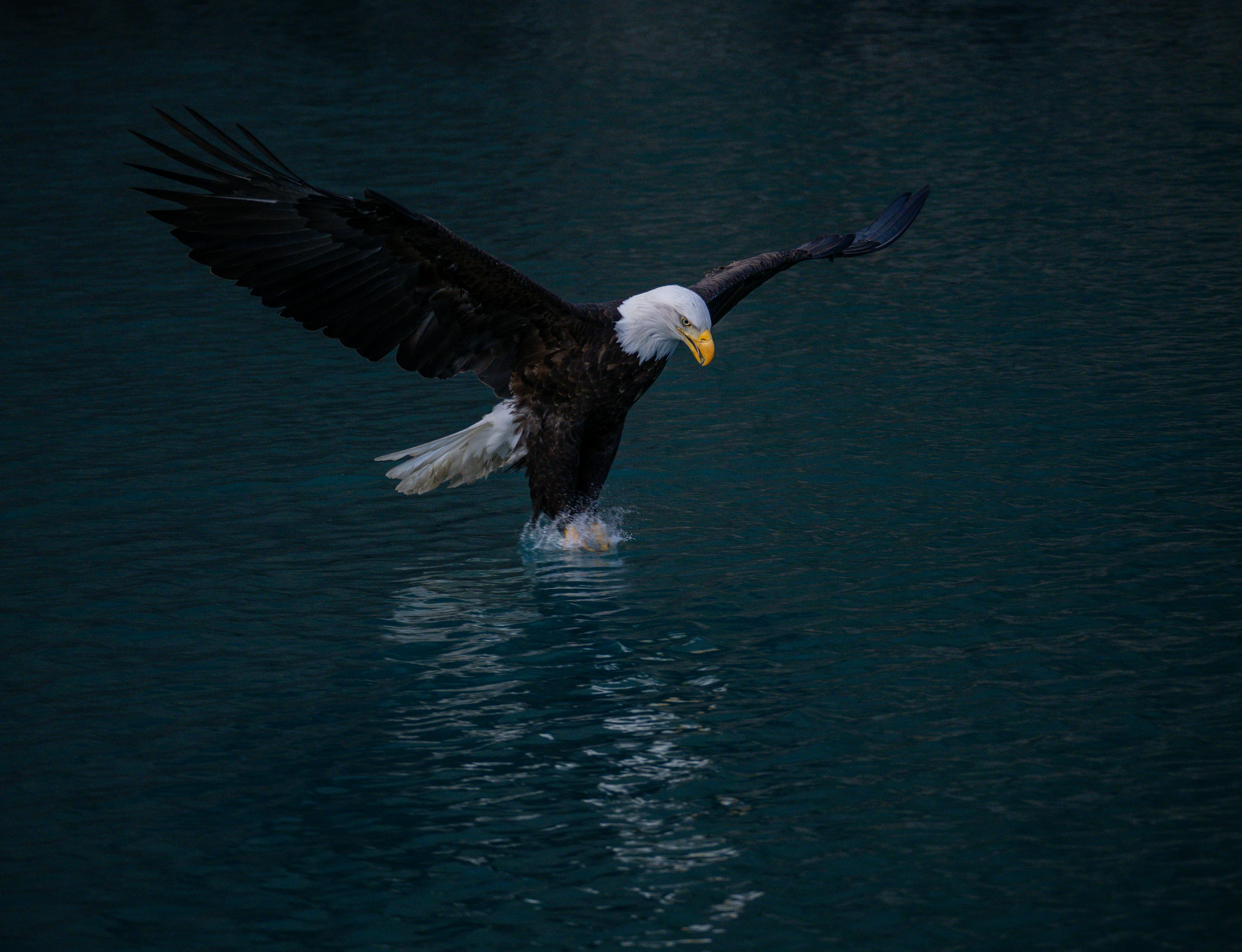 Photo by huntermastersmusic