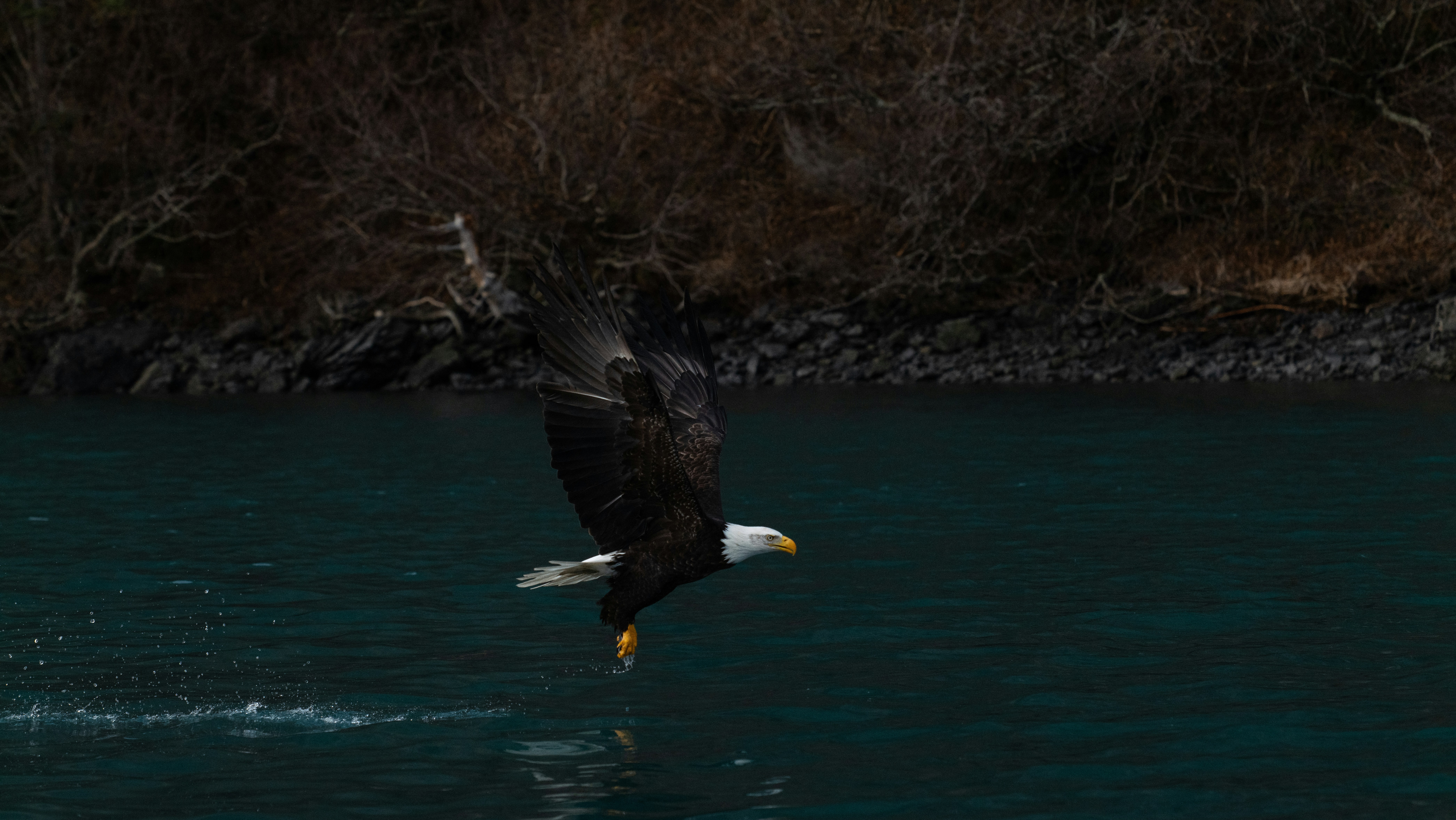 Photo by huntermastersmusic