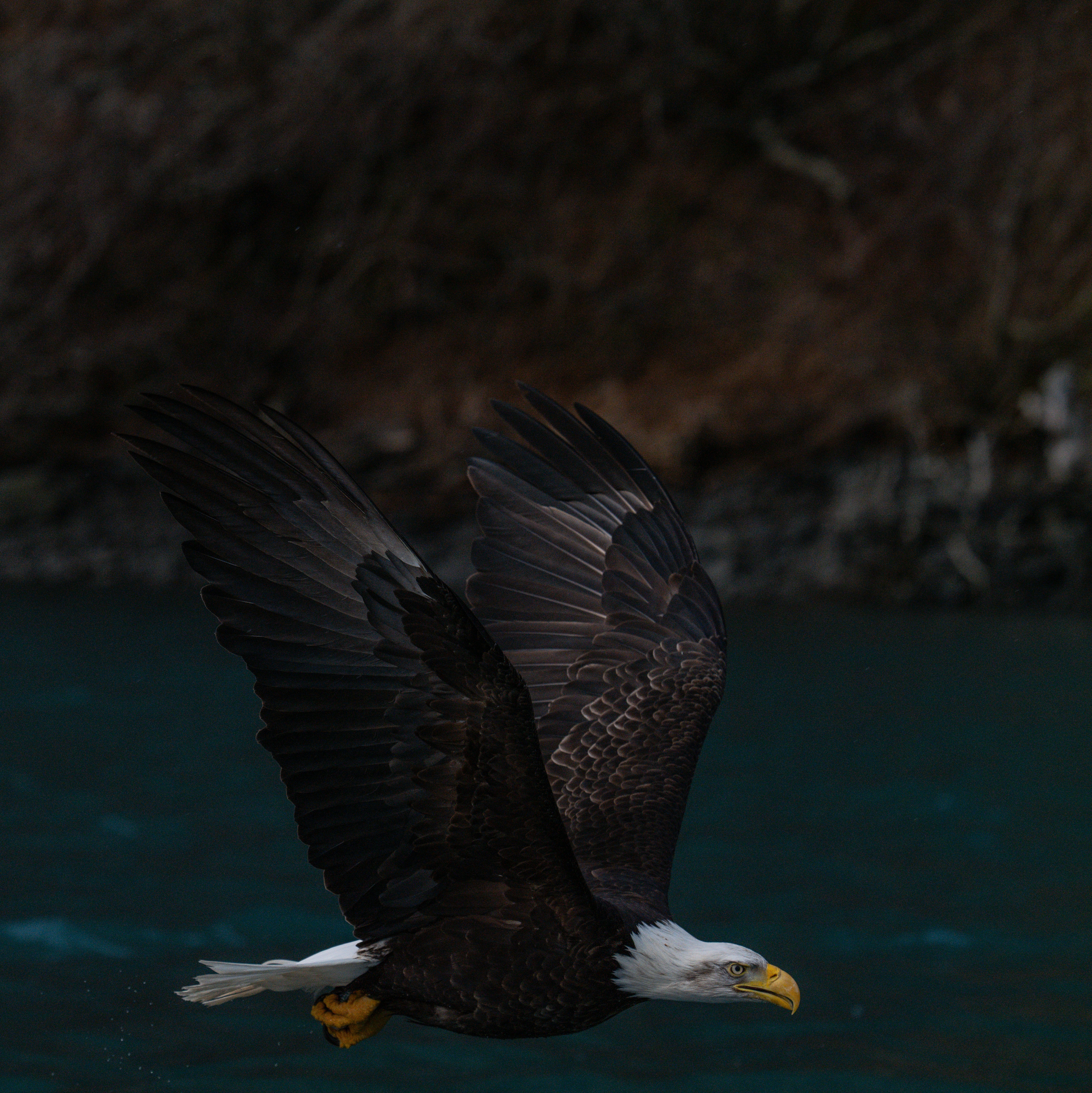 Photo by huntermastersmusic