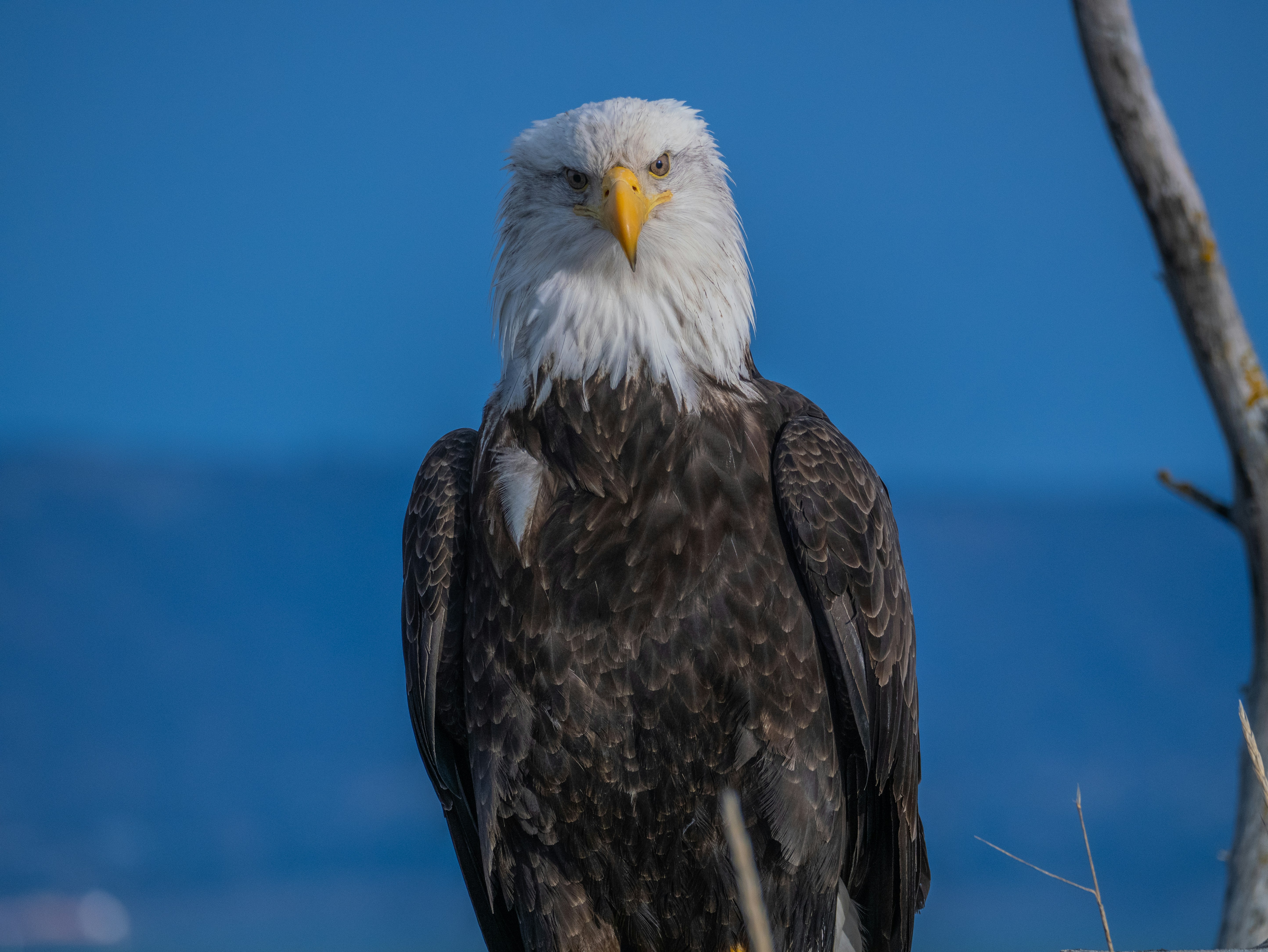 Photo by huntermastersmusic