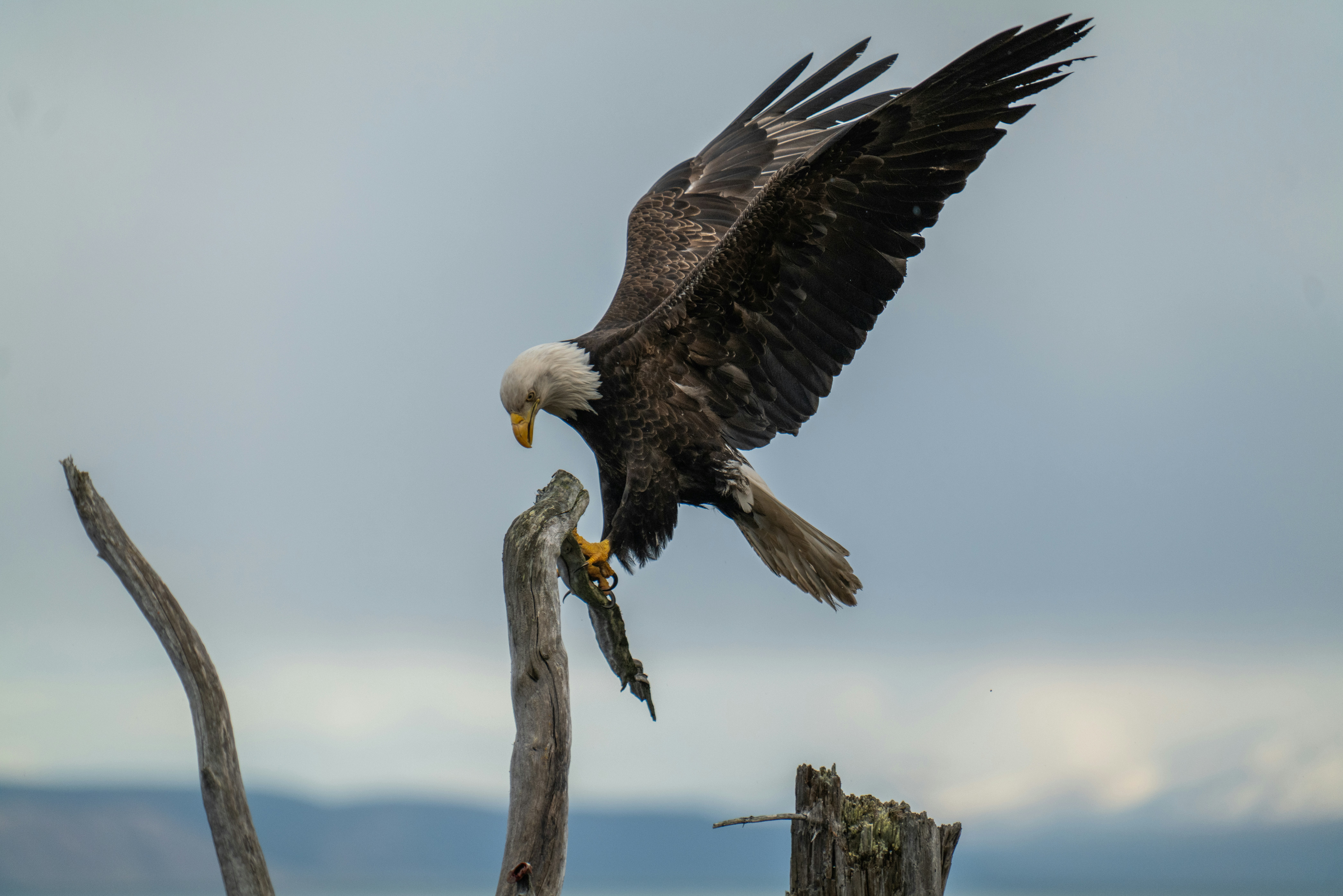 Photo by huntermastersmusic