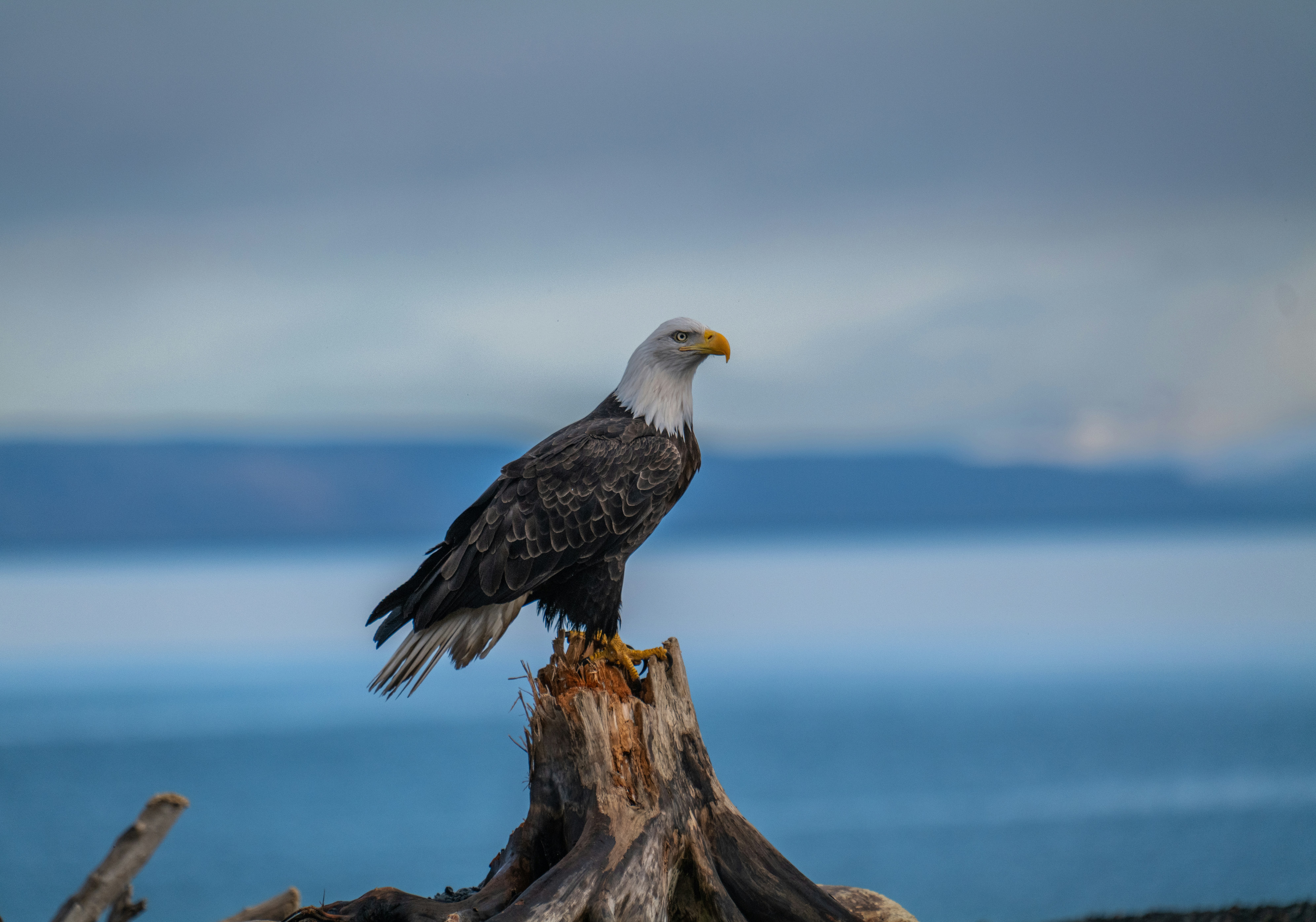 Photo by huntermastersmusic