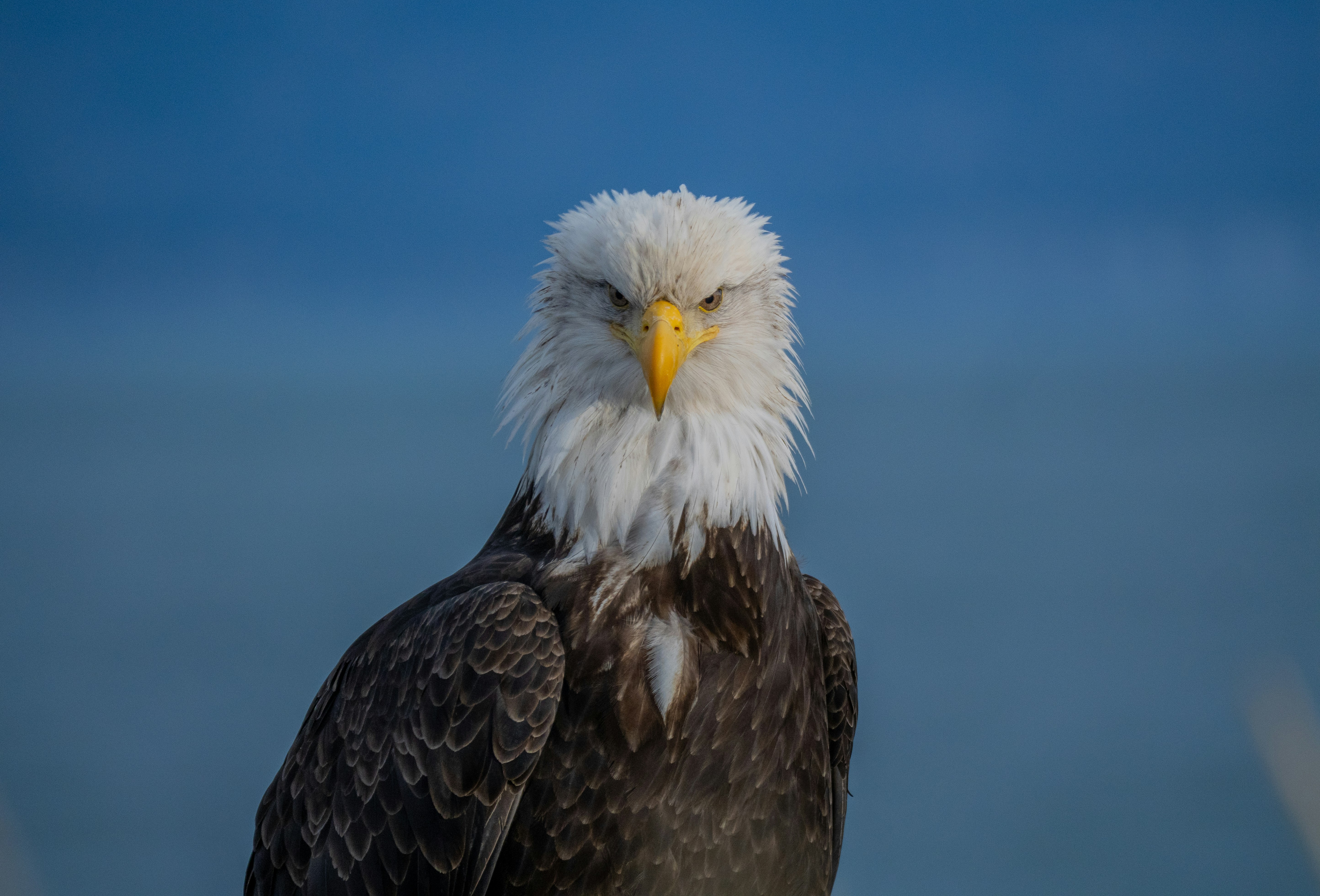 Photo by huntermastersmusic