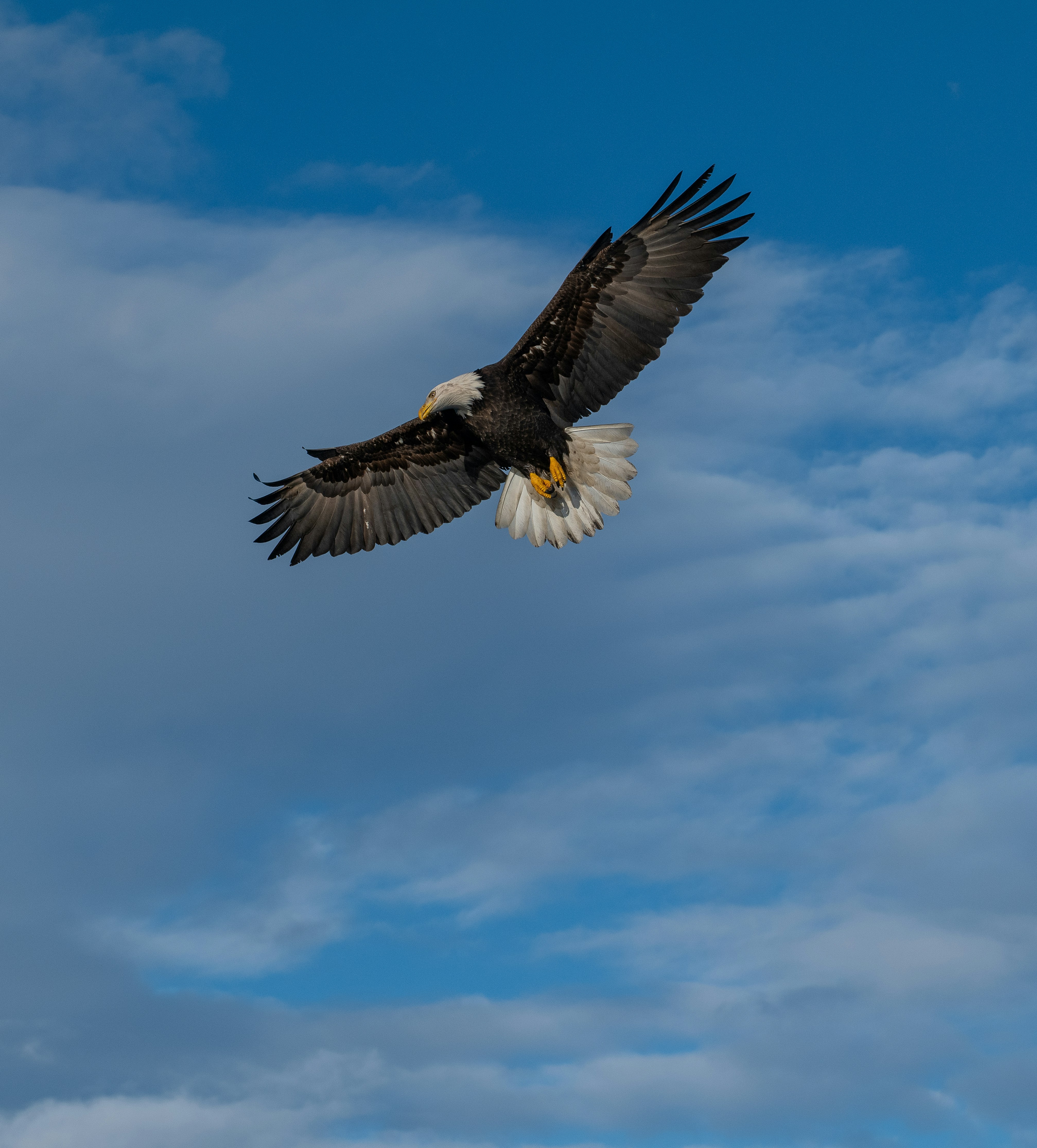 Photo by huntermastersmusic