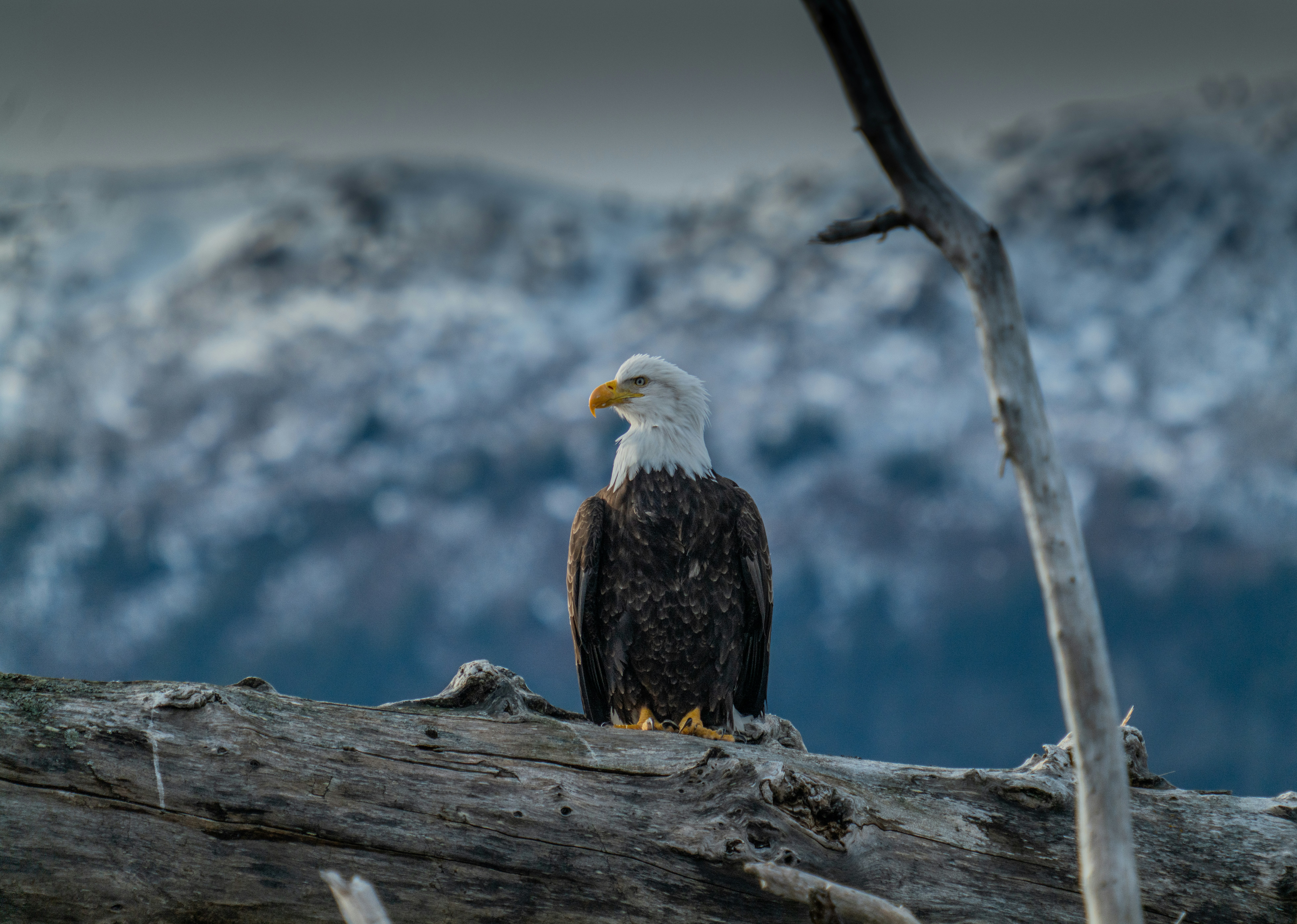 Photo by huntermastersmusic