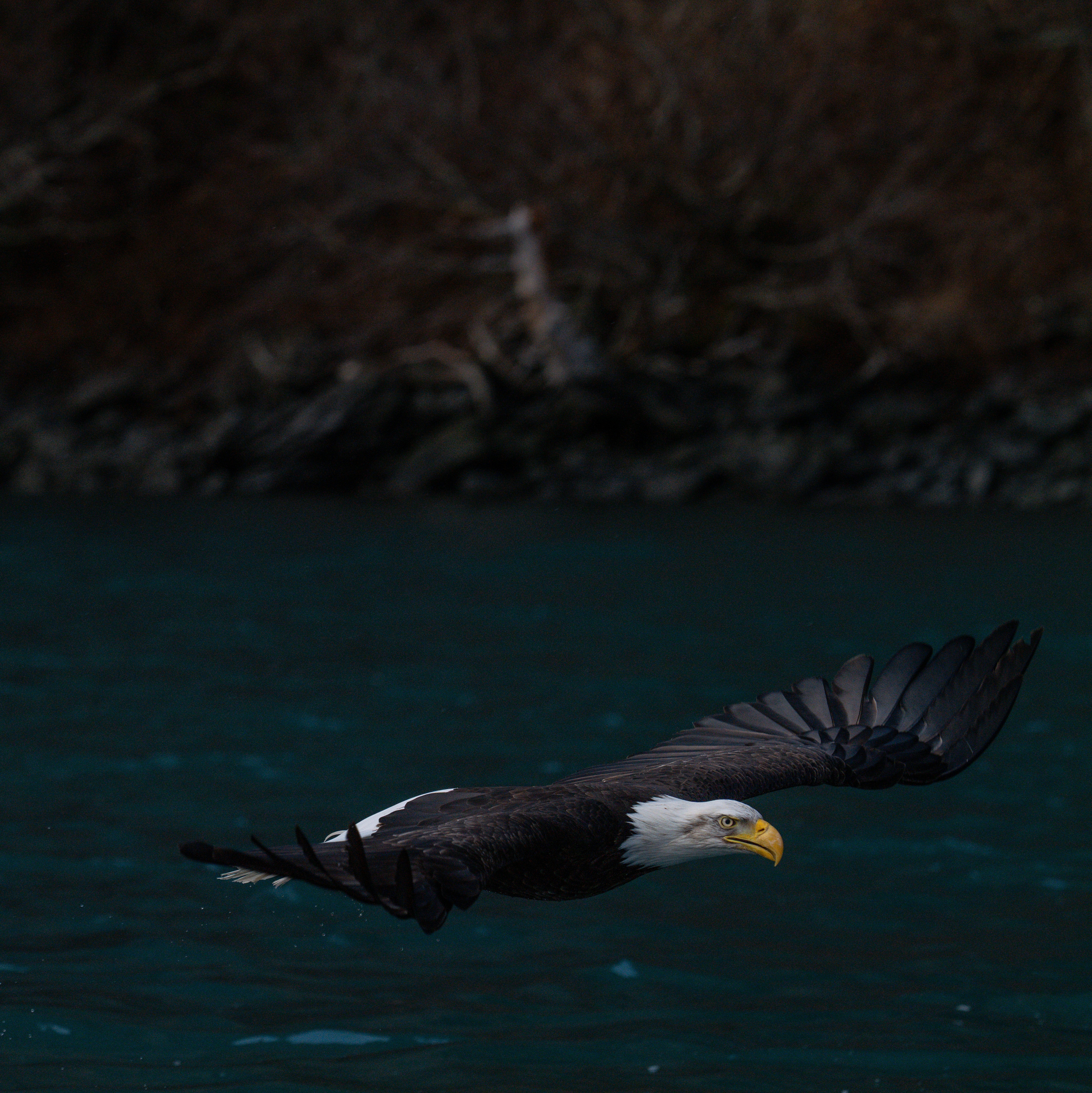 Photo by huntermastersmusic