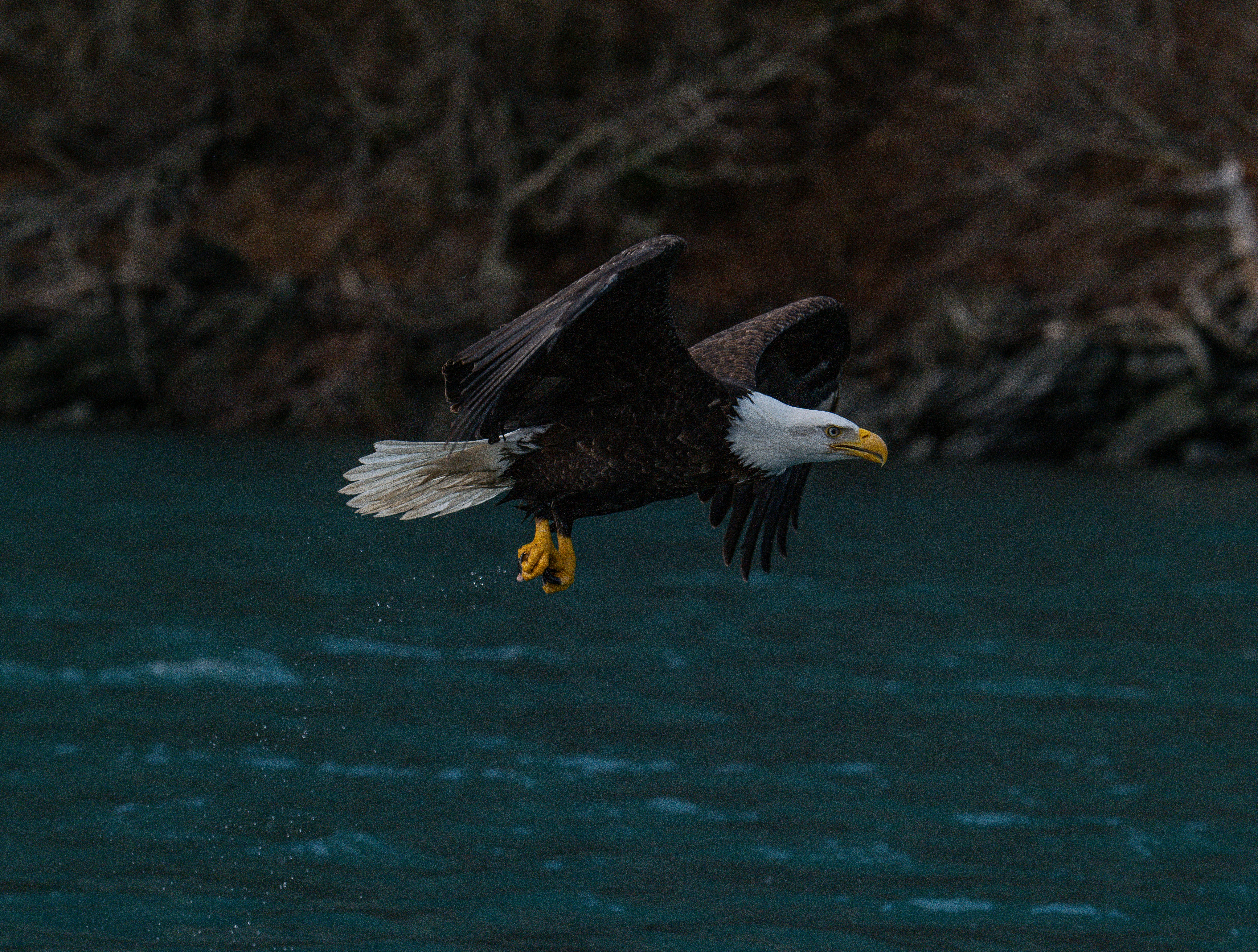 Photo by huntermastersmusic