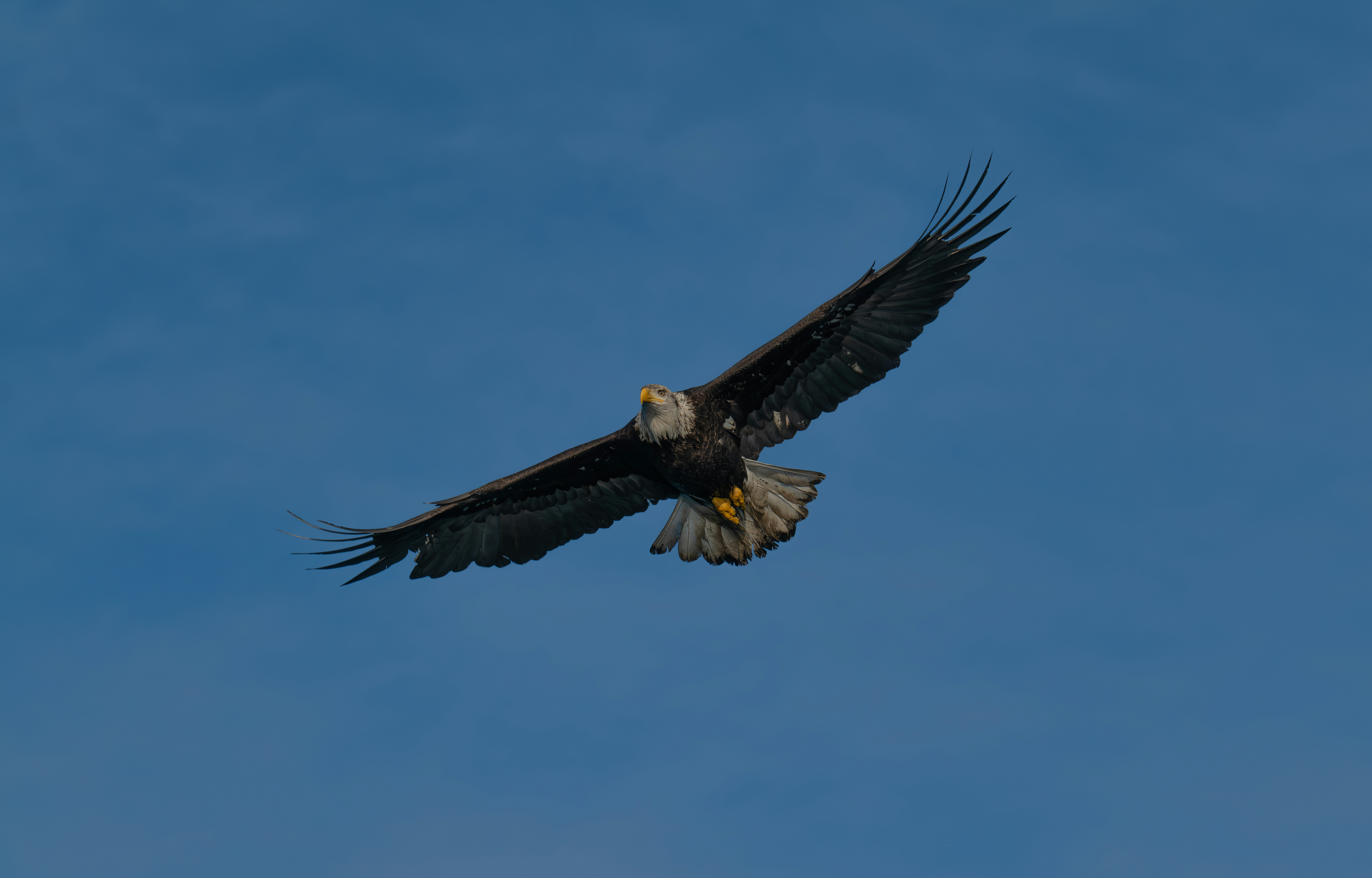 Photo by huntermastersmusic