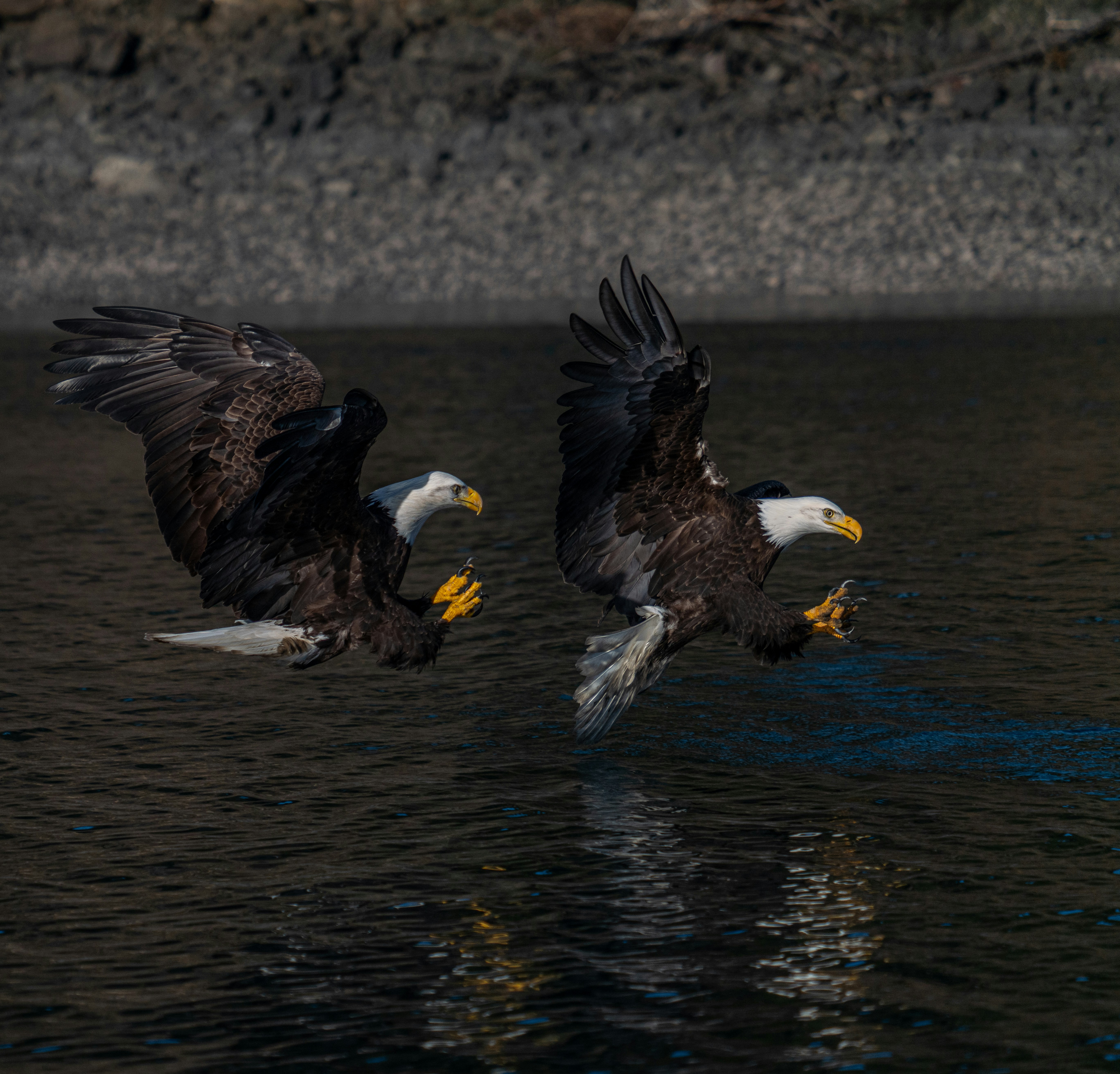 Photo by huntermastersmusic