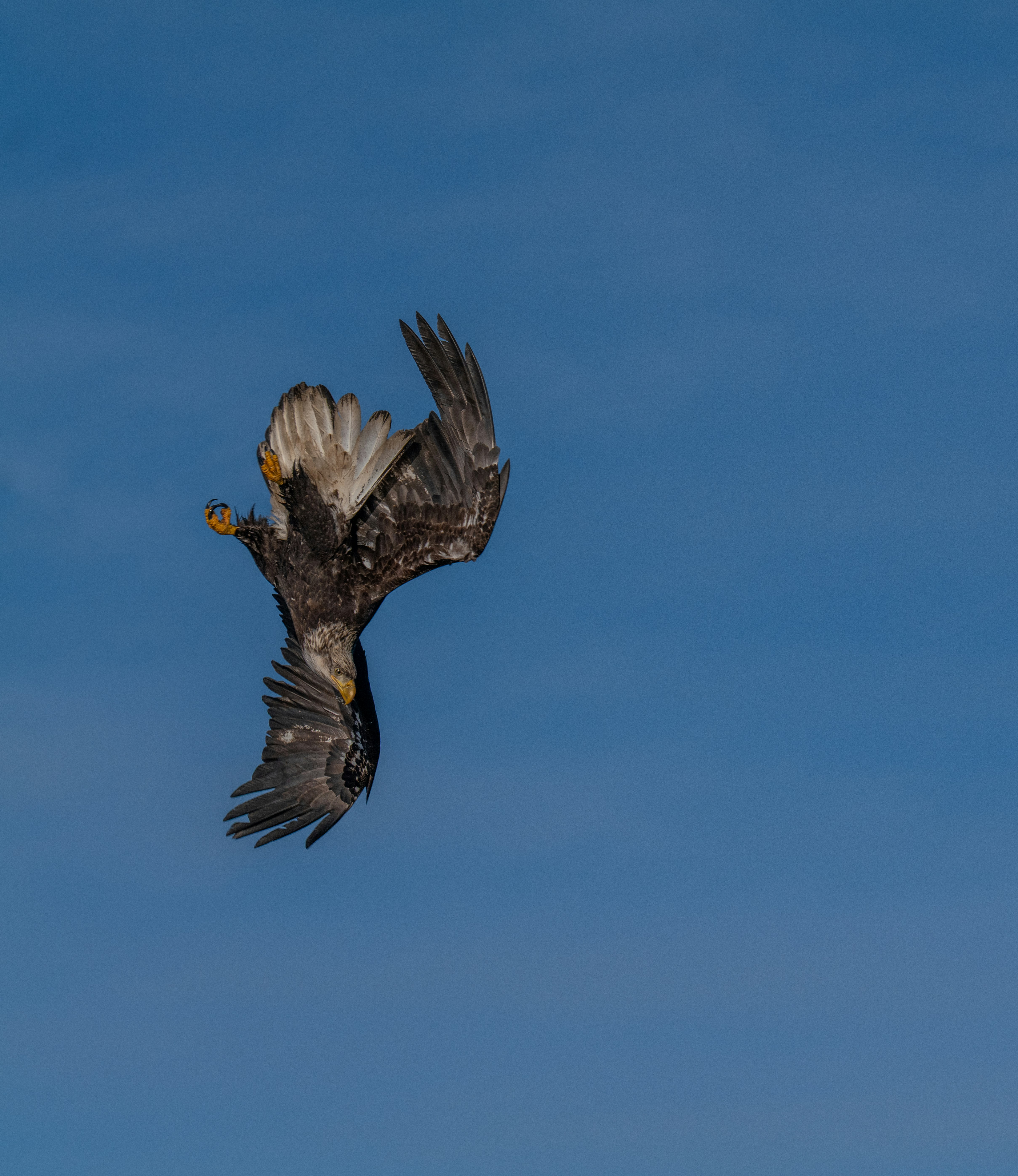 Photo by huntermastersmusic