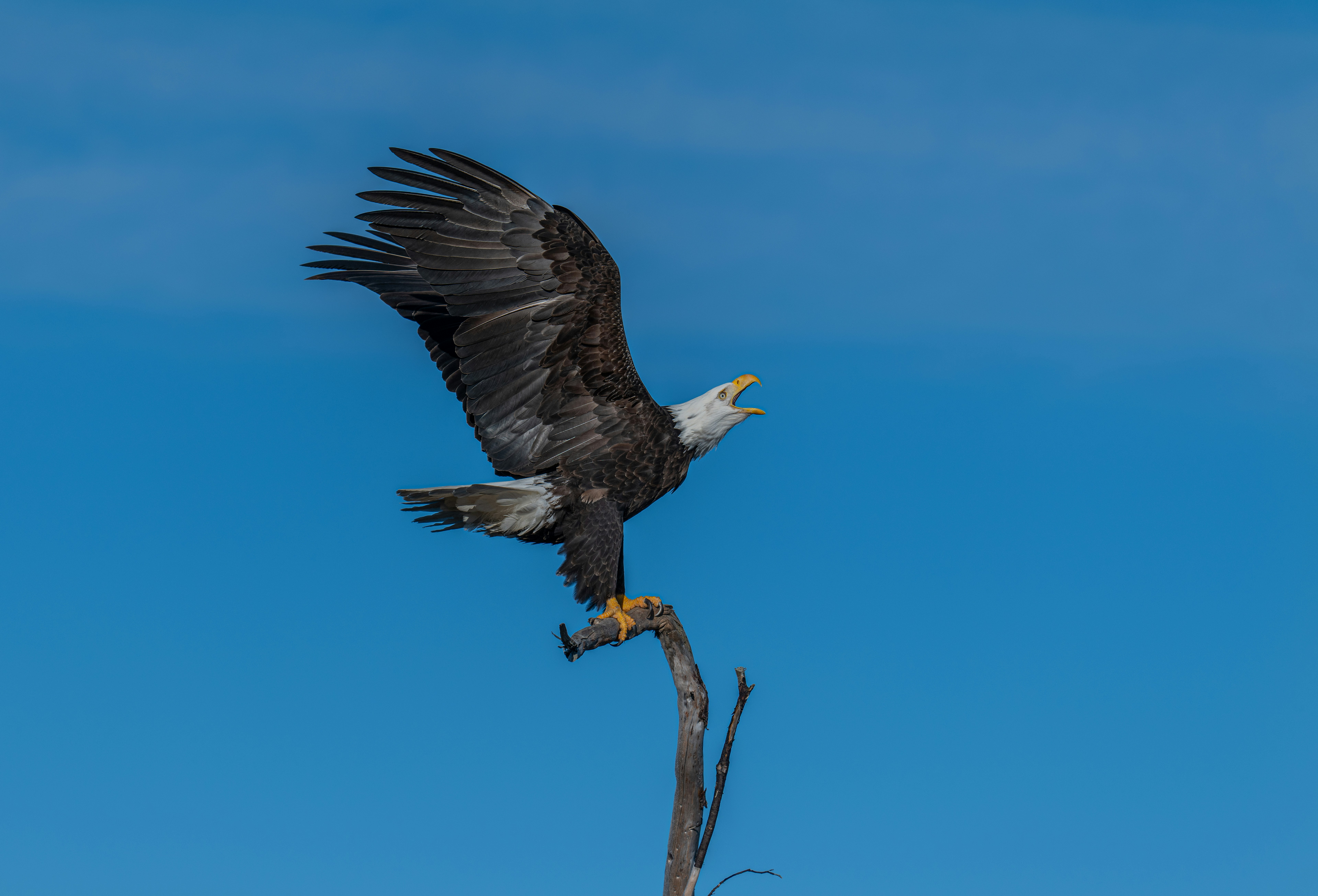 Photo by huntermastersmusic