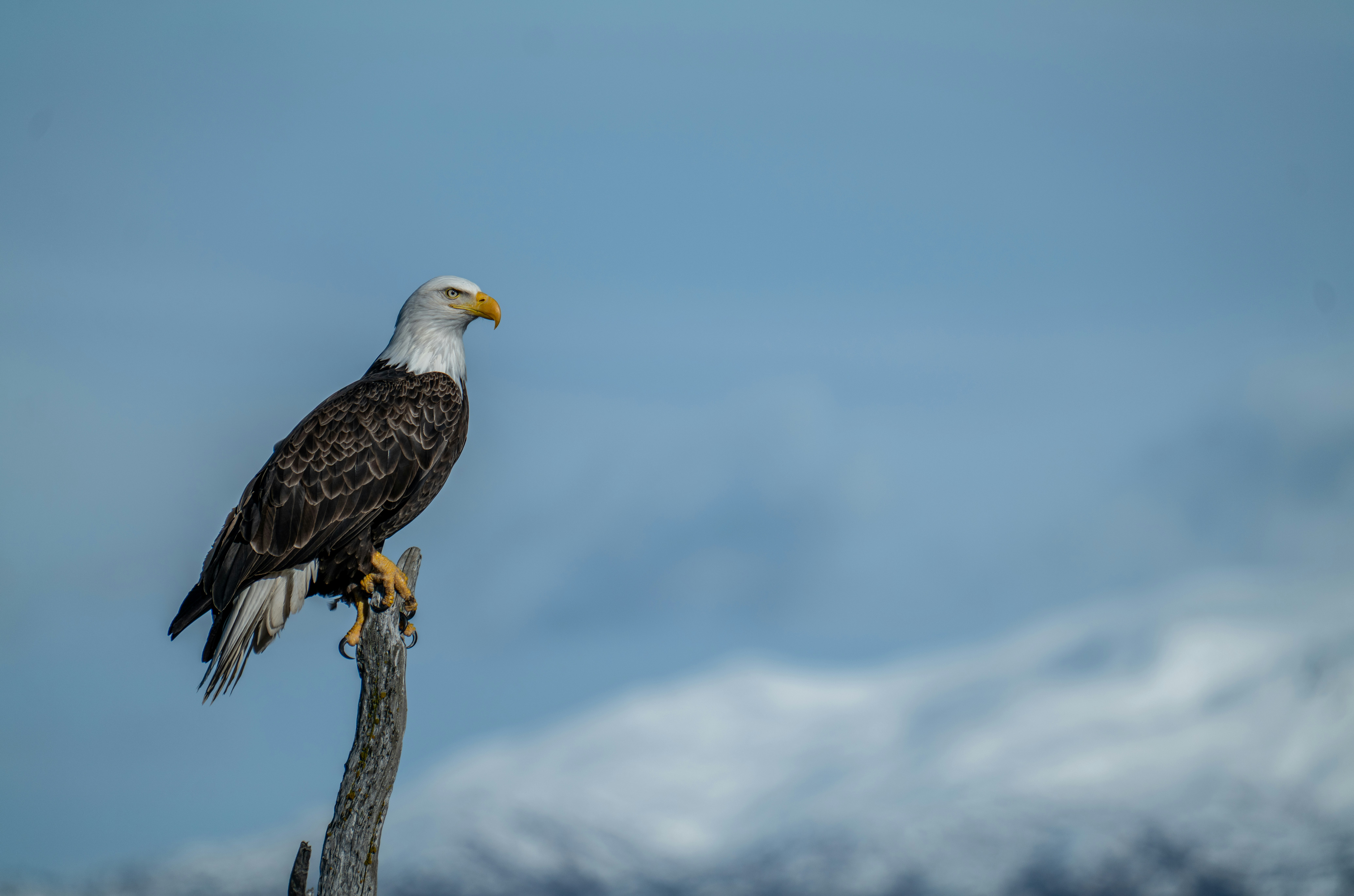 Photo by huntermastersmusic