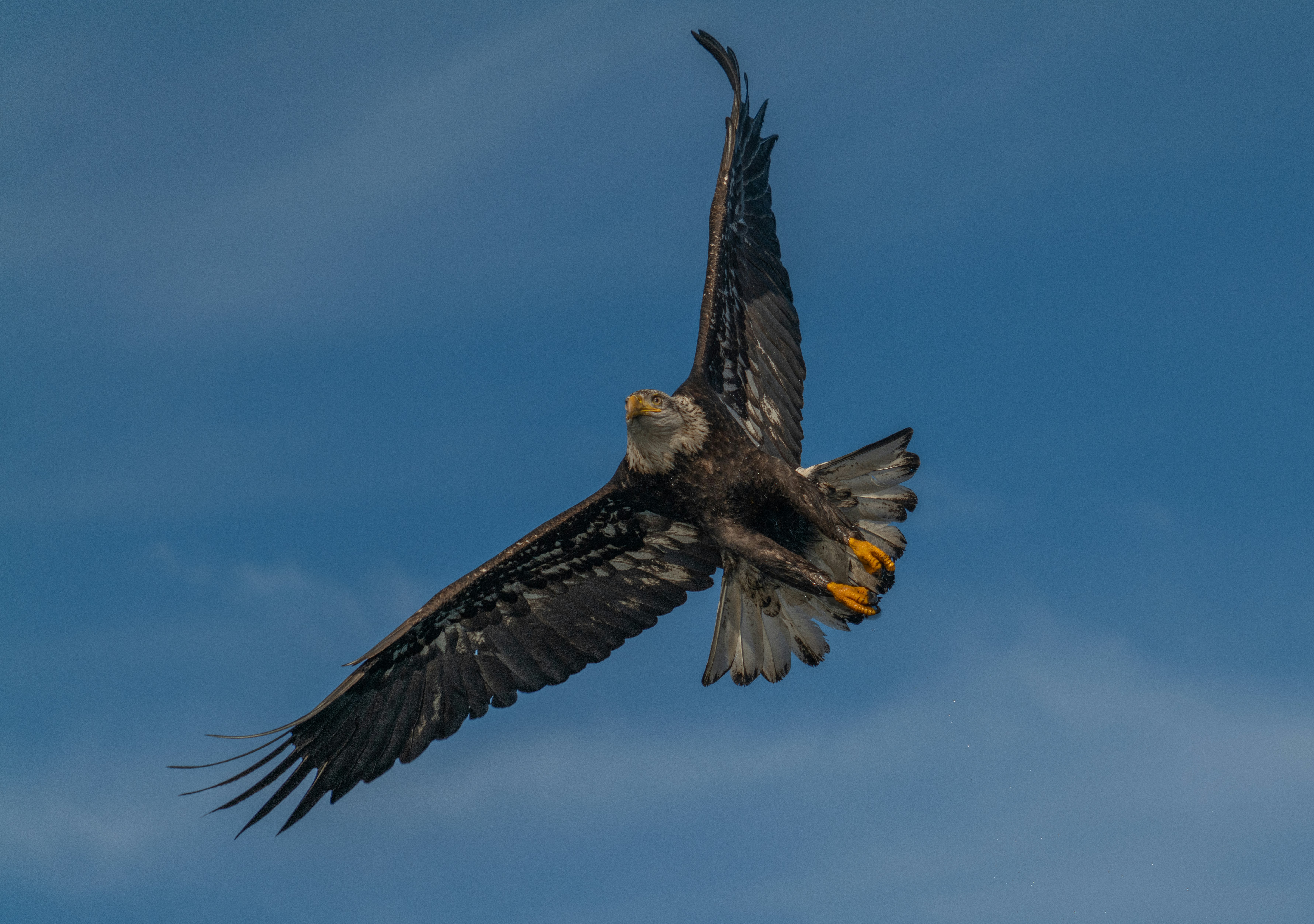 Photo by huntermastersmusic