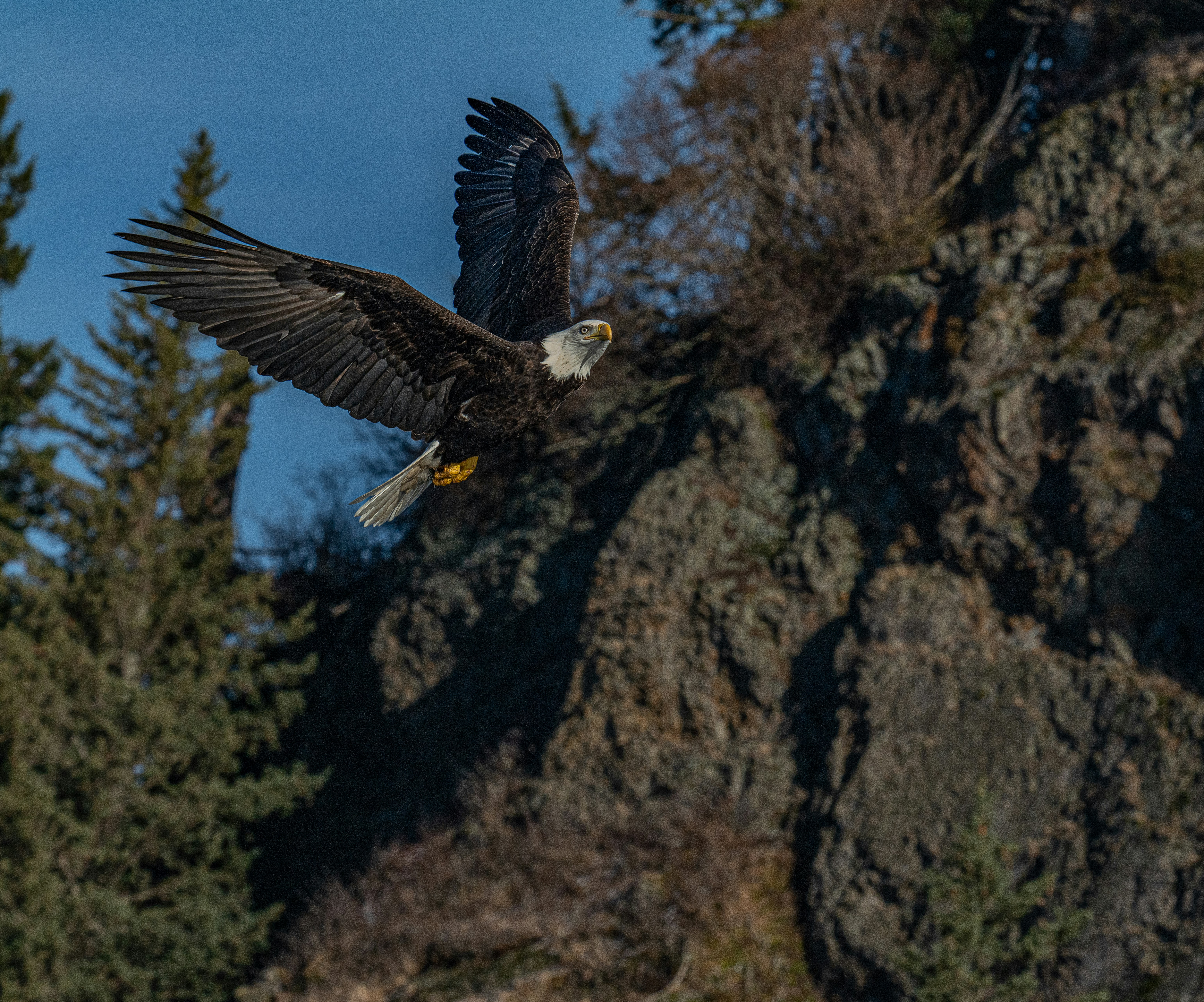 Photo by huntermastersmusic