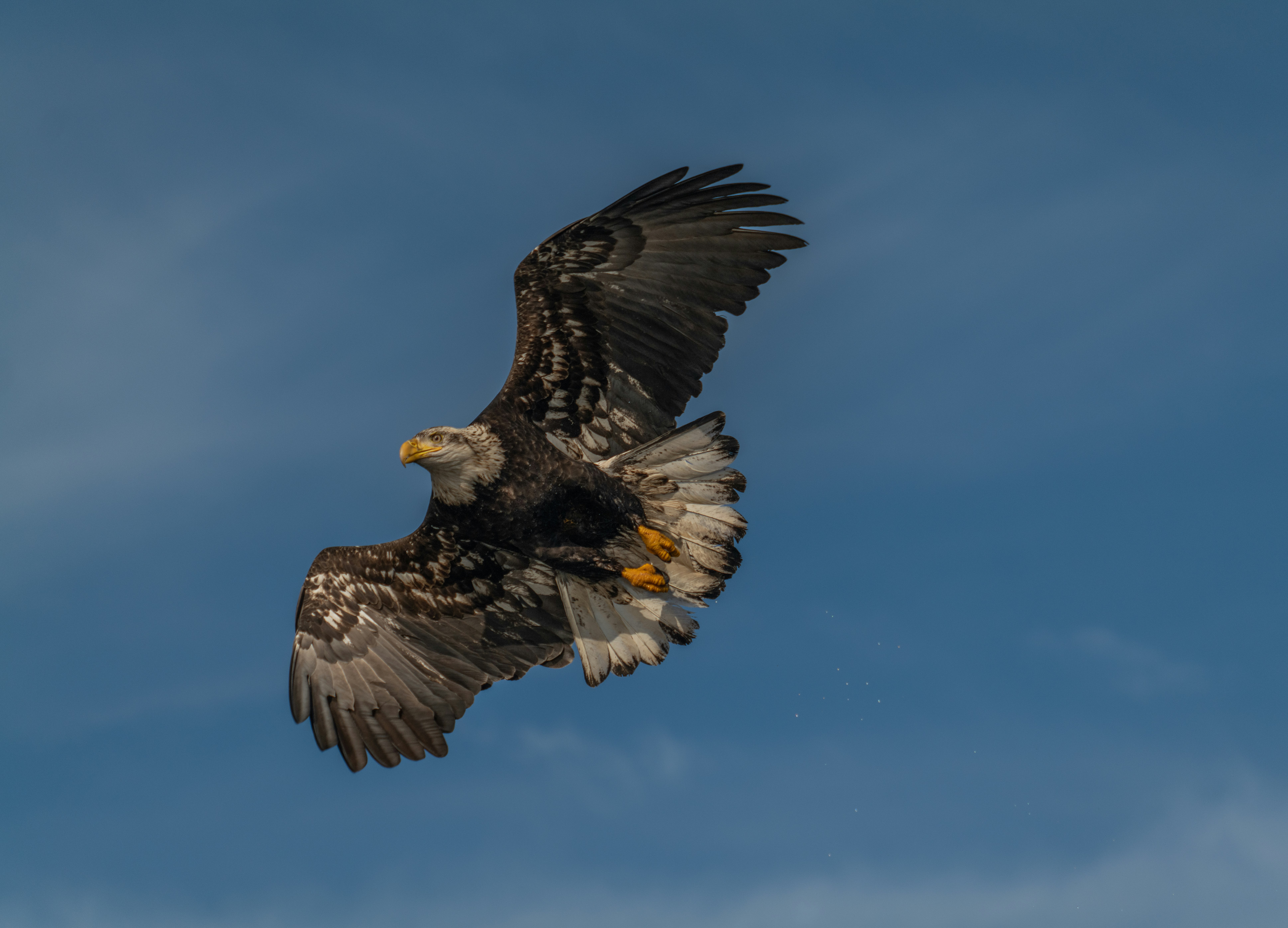 Photo by huntermastersmusic