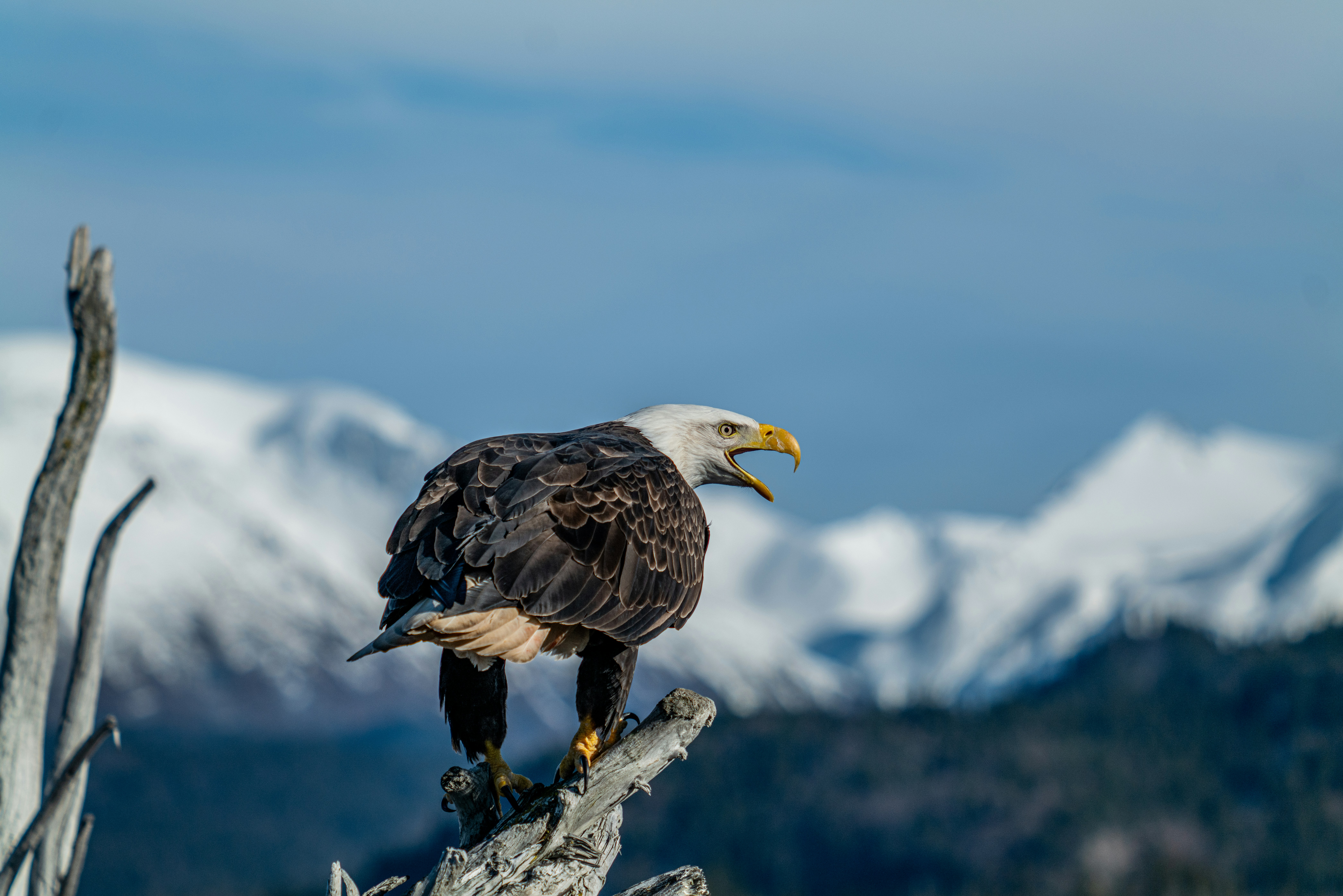 Photo by huntermastersmusic