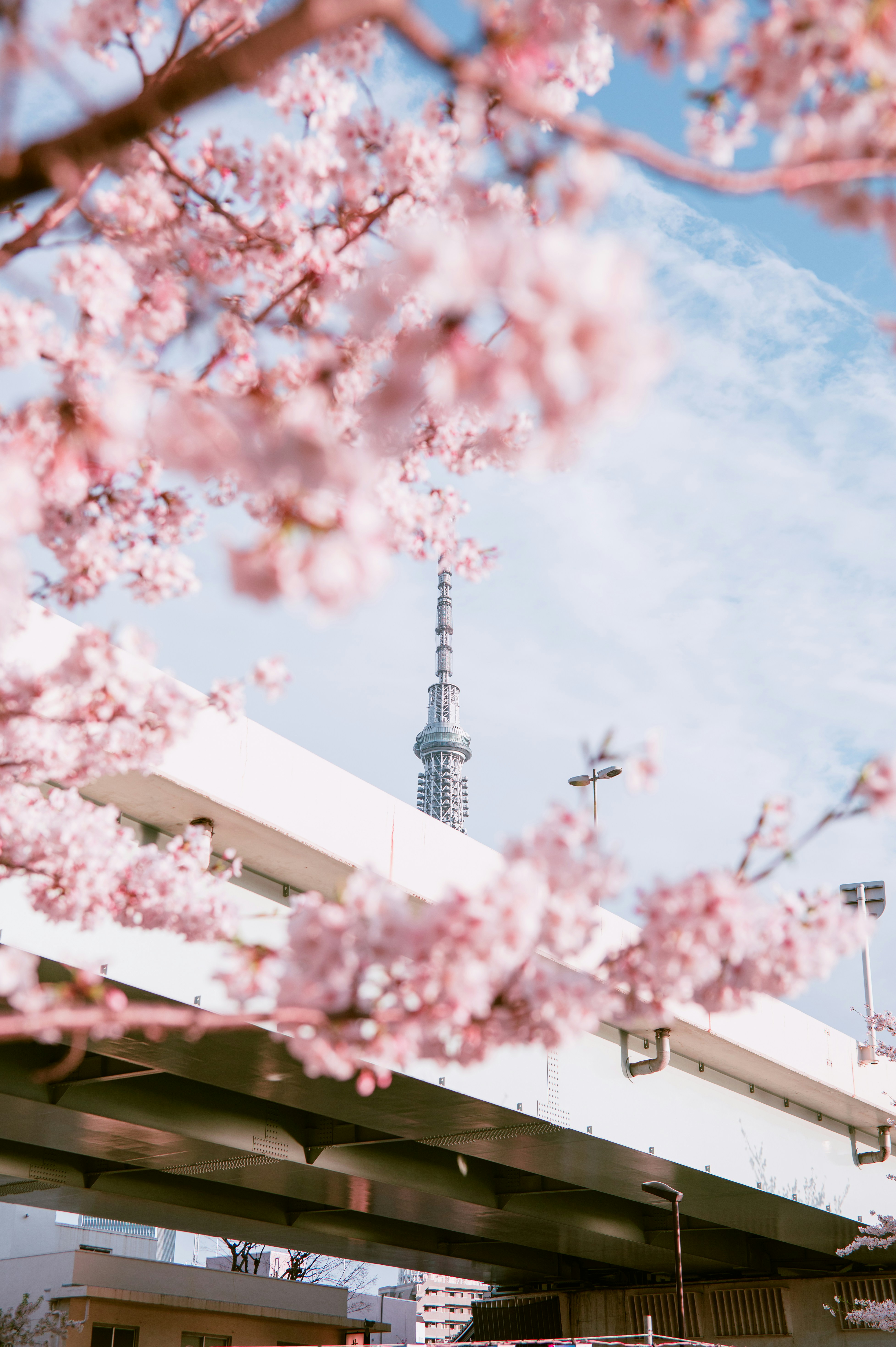 Windows 11 desktop interface showing update notification