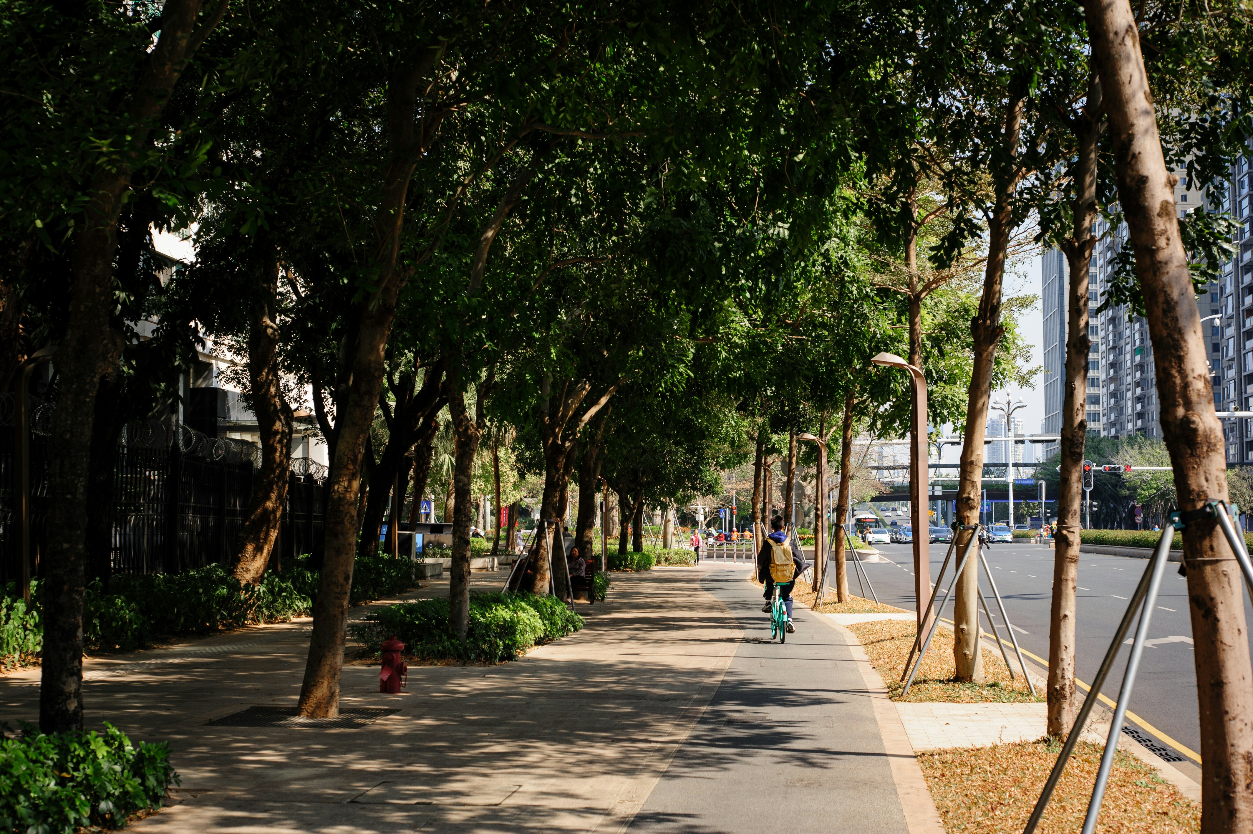 Photo by joshuafernandez