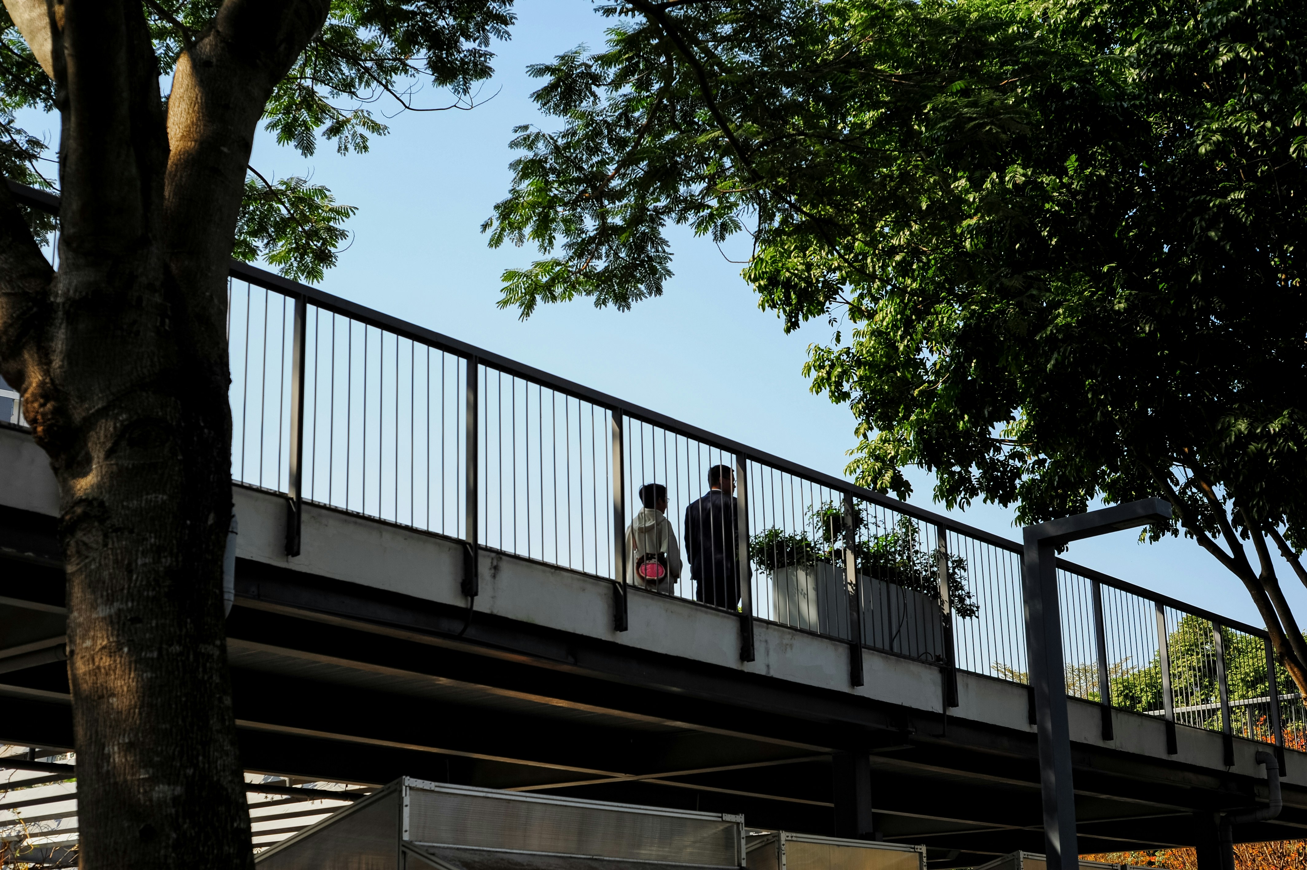 Photo by joshuafernandez