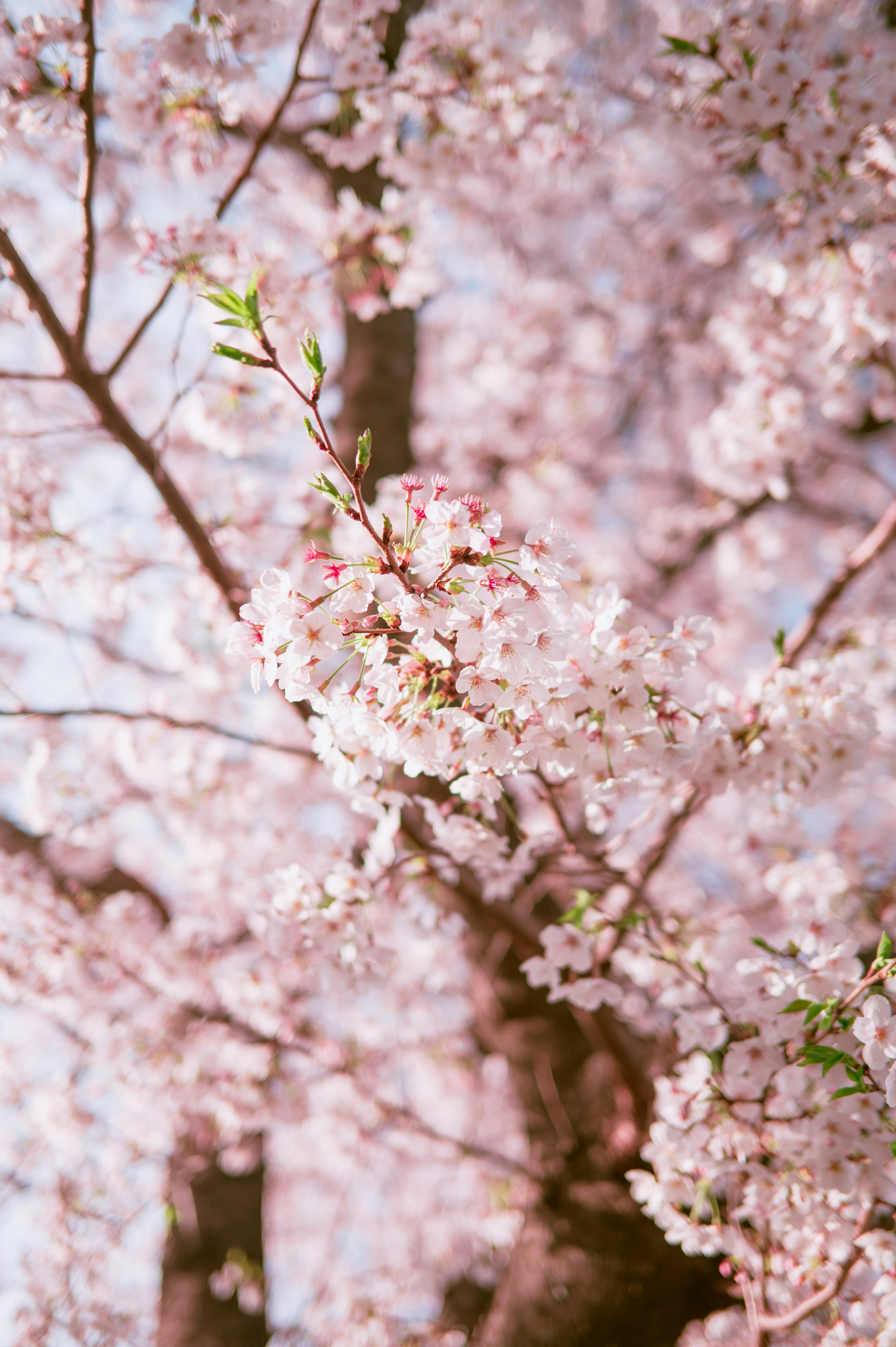 Photo by ryunosuke_kikuno