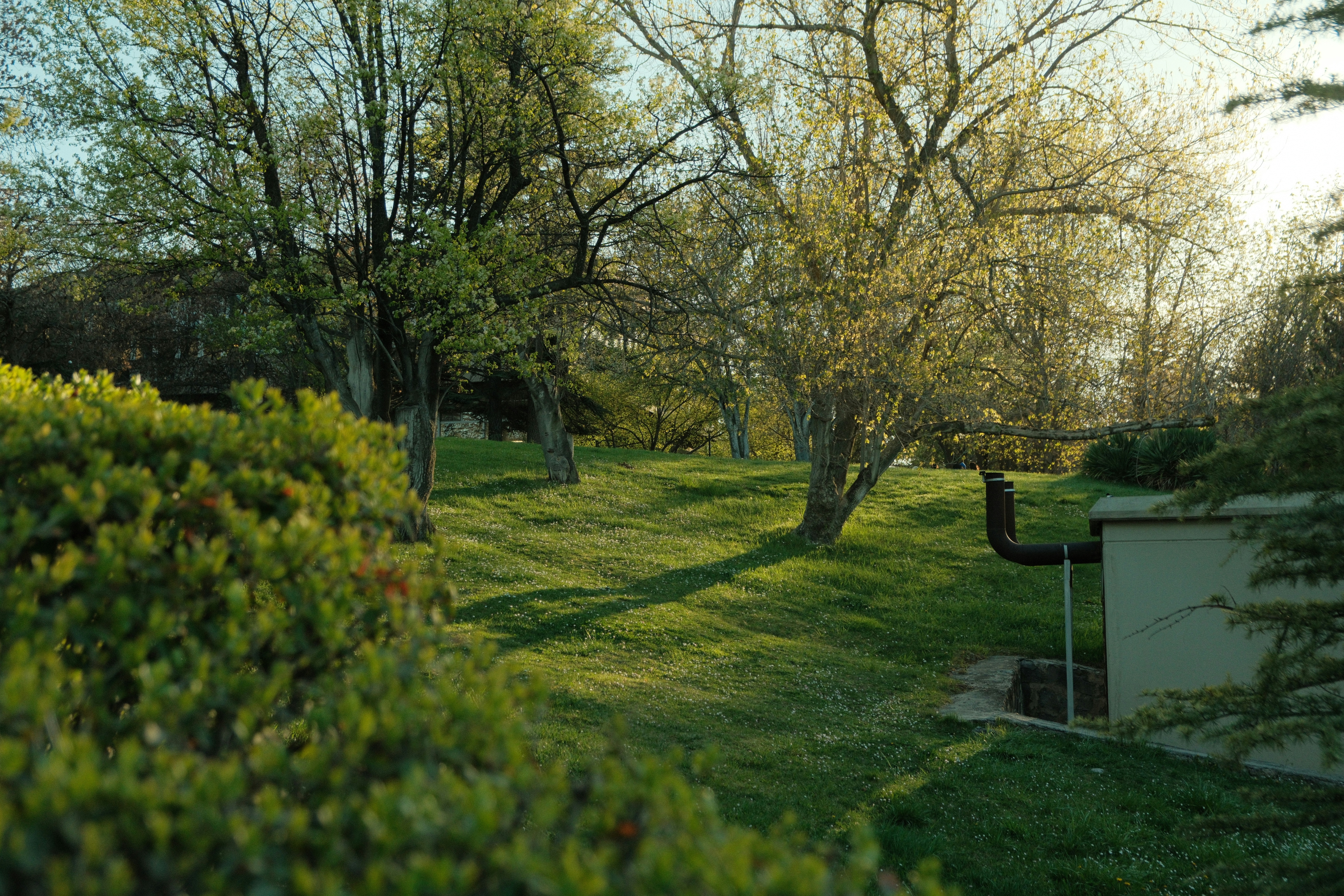 Photo by ismailefetop