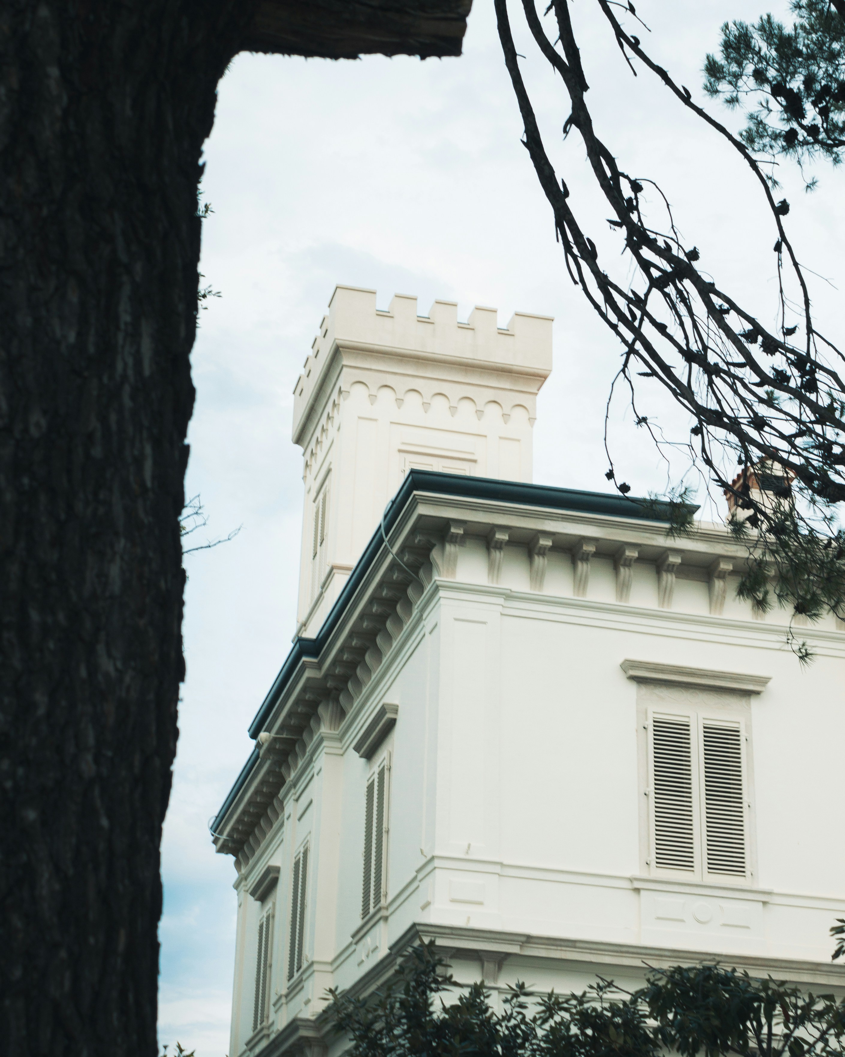 Photo by puskas_dominik