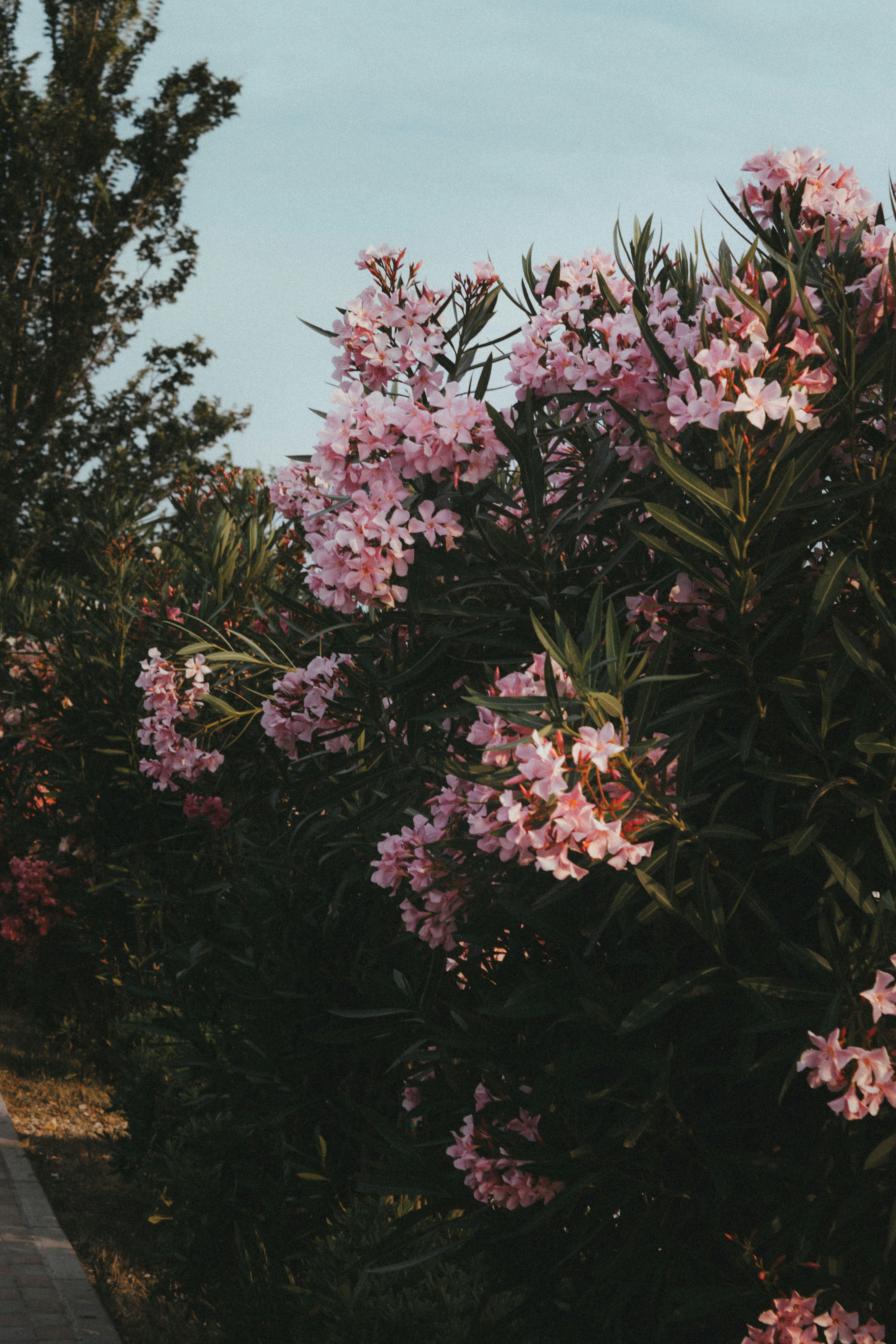 Photo by puskas_dominik