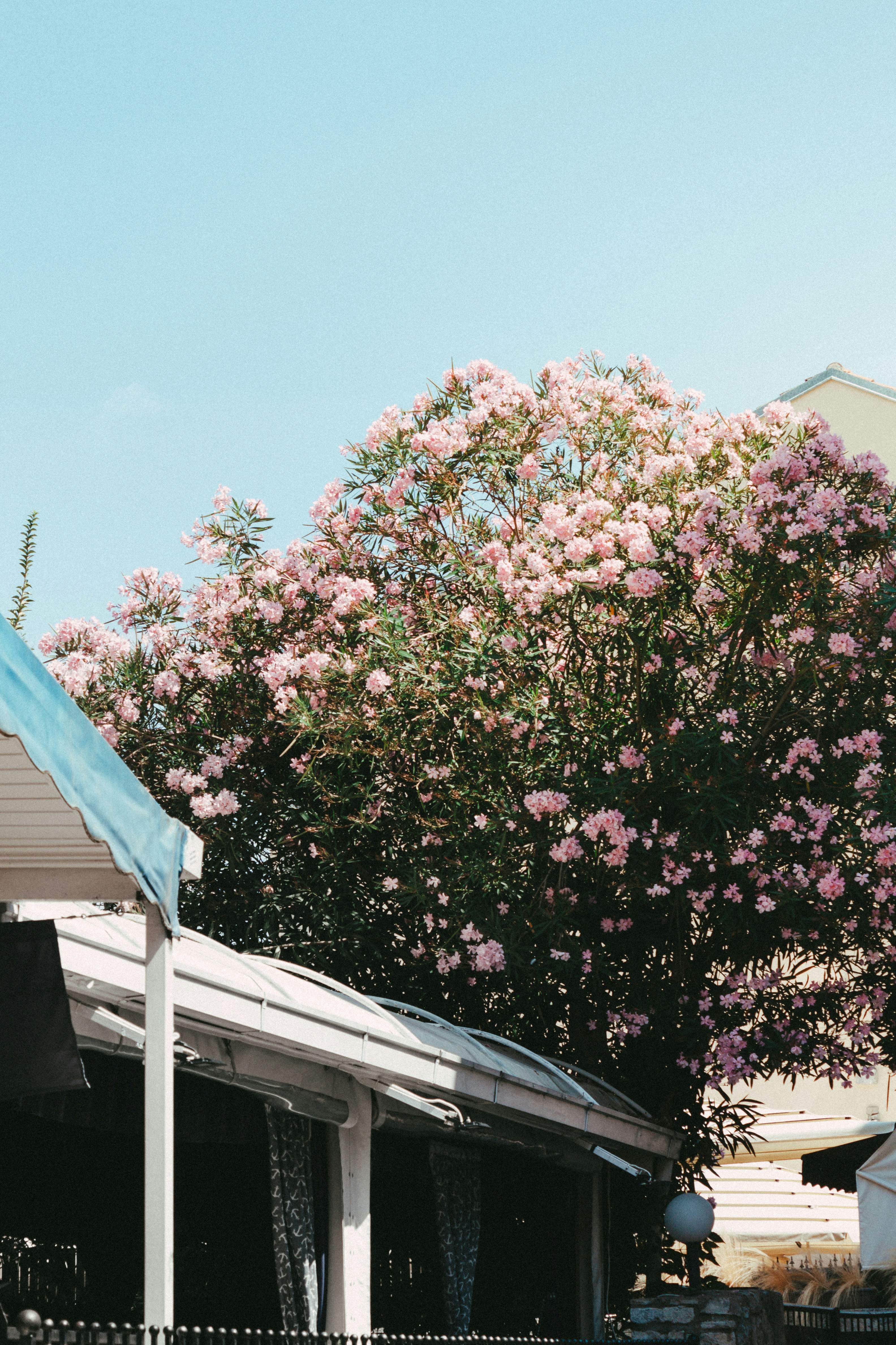 Photo by puskas_dominik