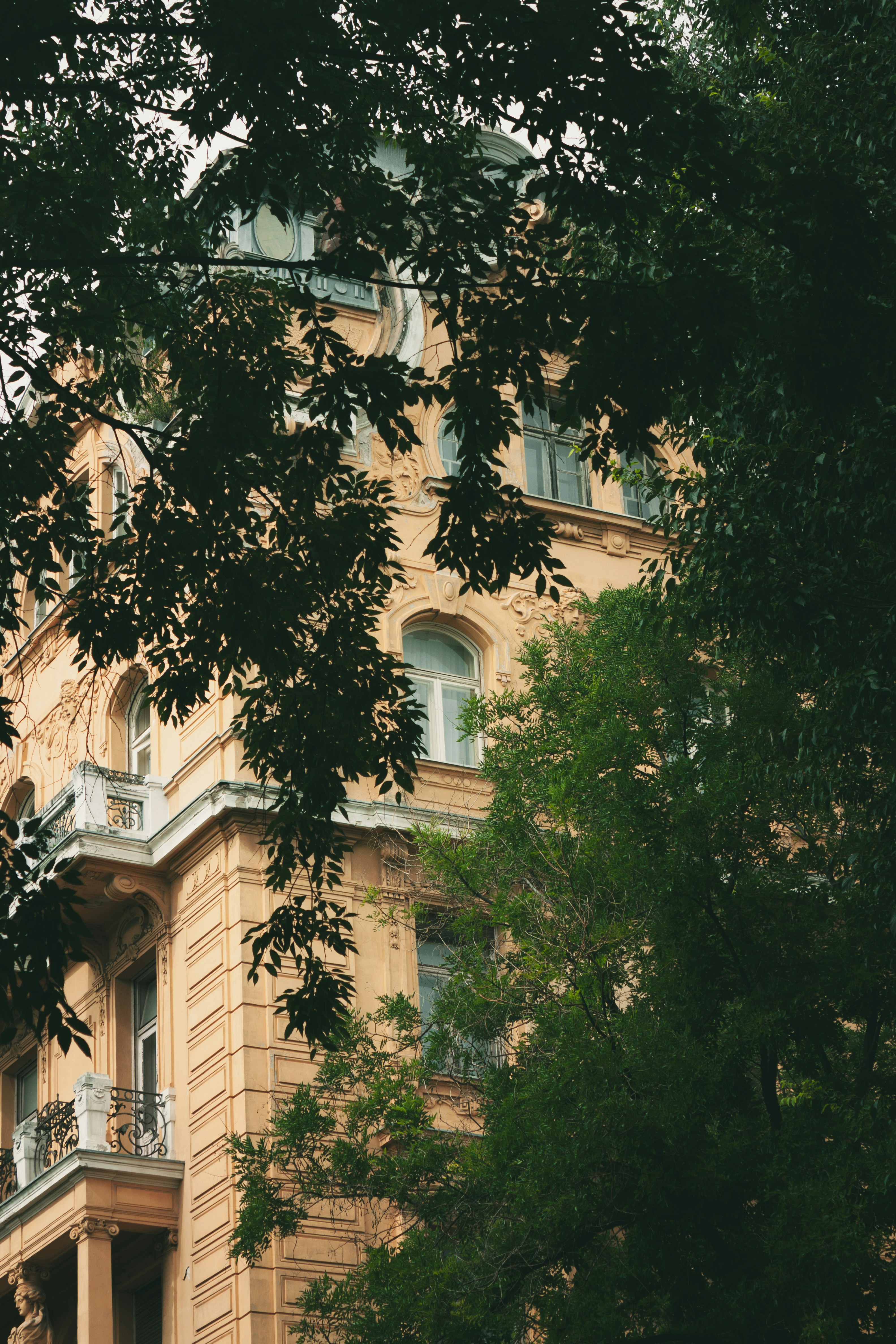 Photo by puskas_dominik