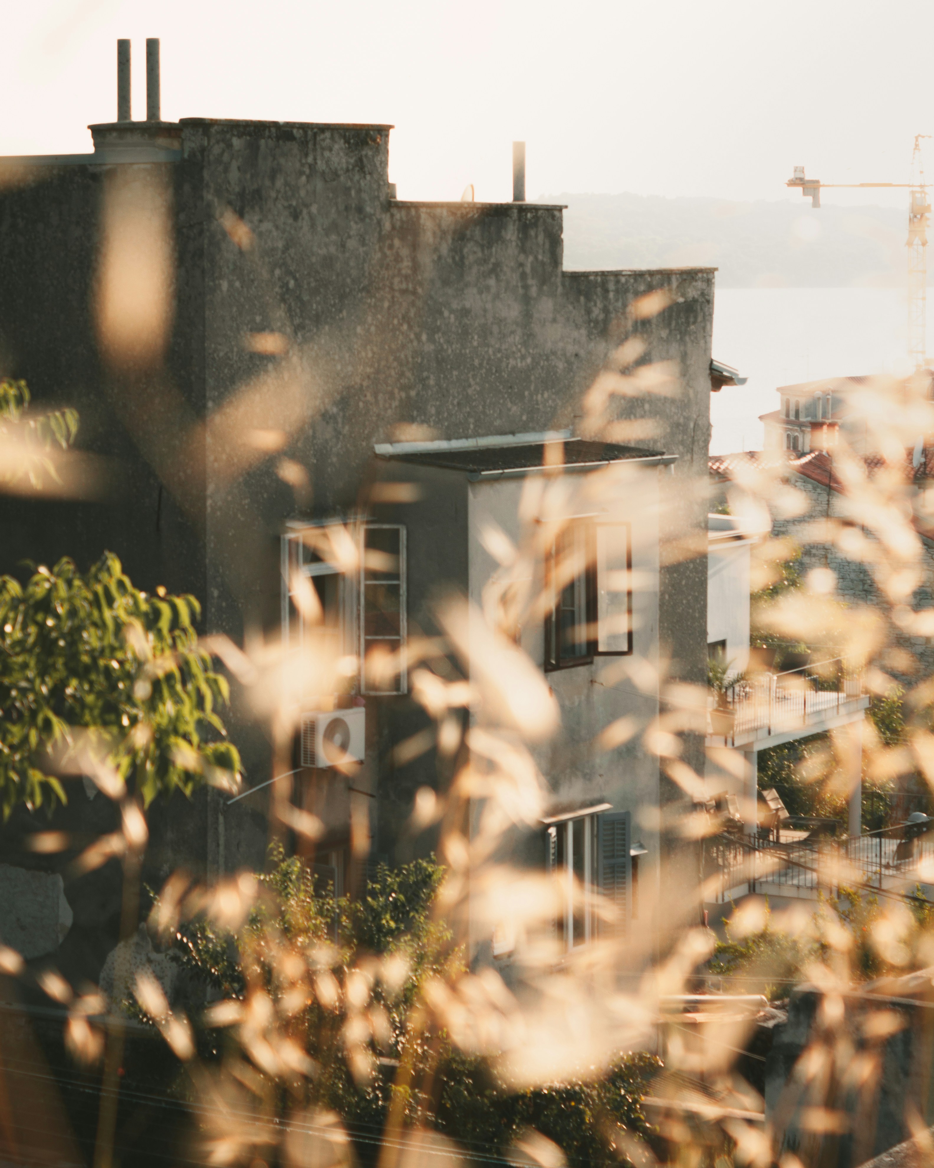 Photo by puskas_dominik