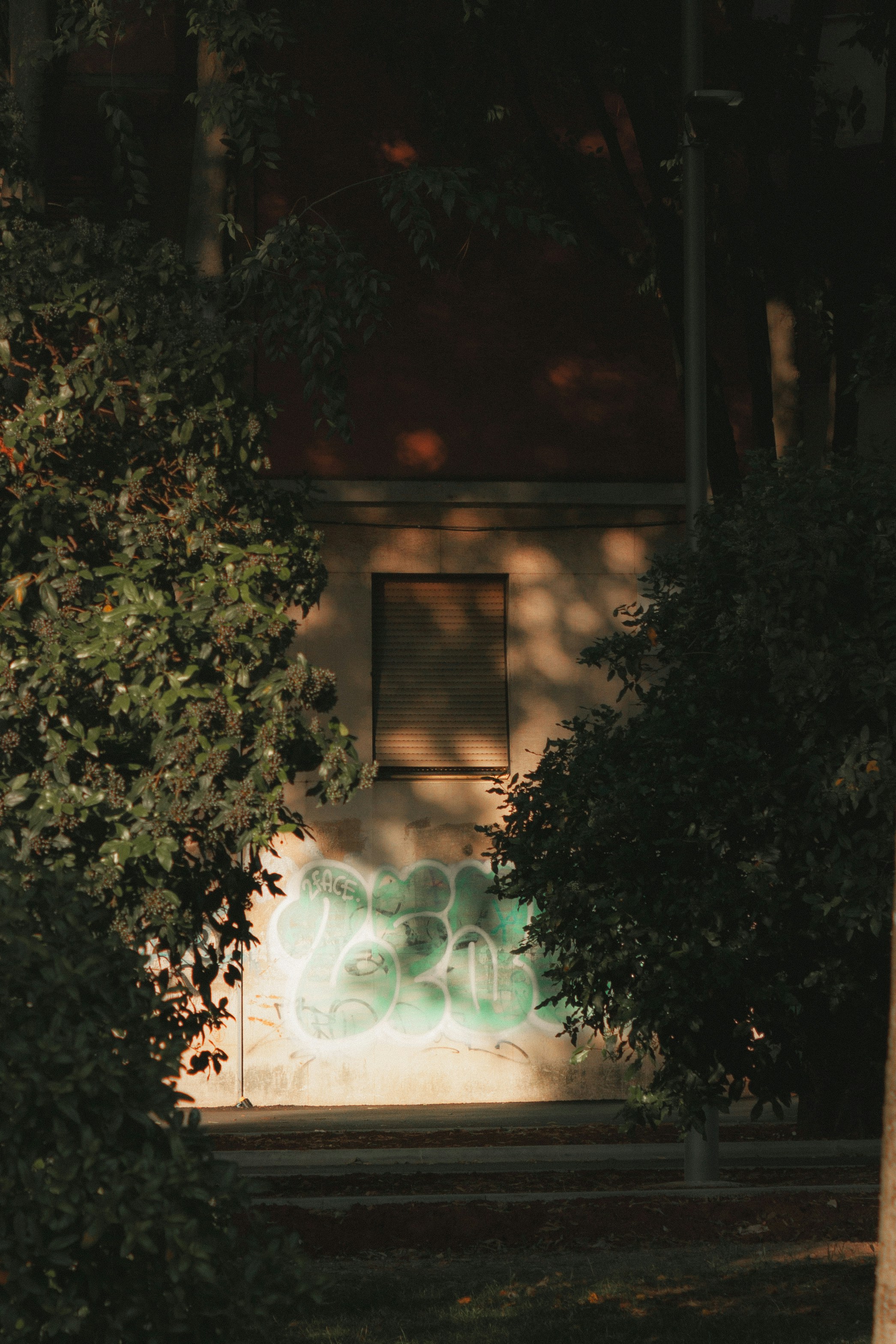 Photo by puskas_dominik