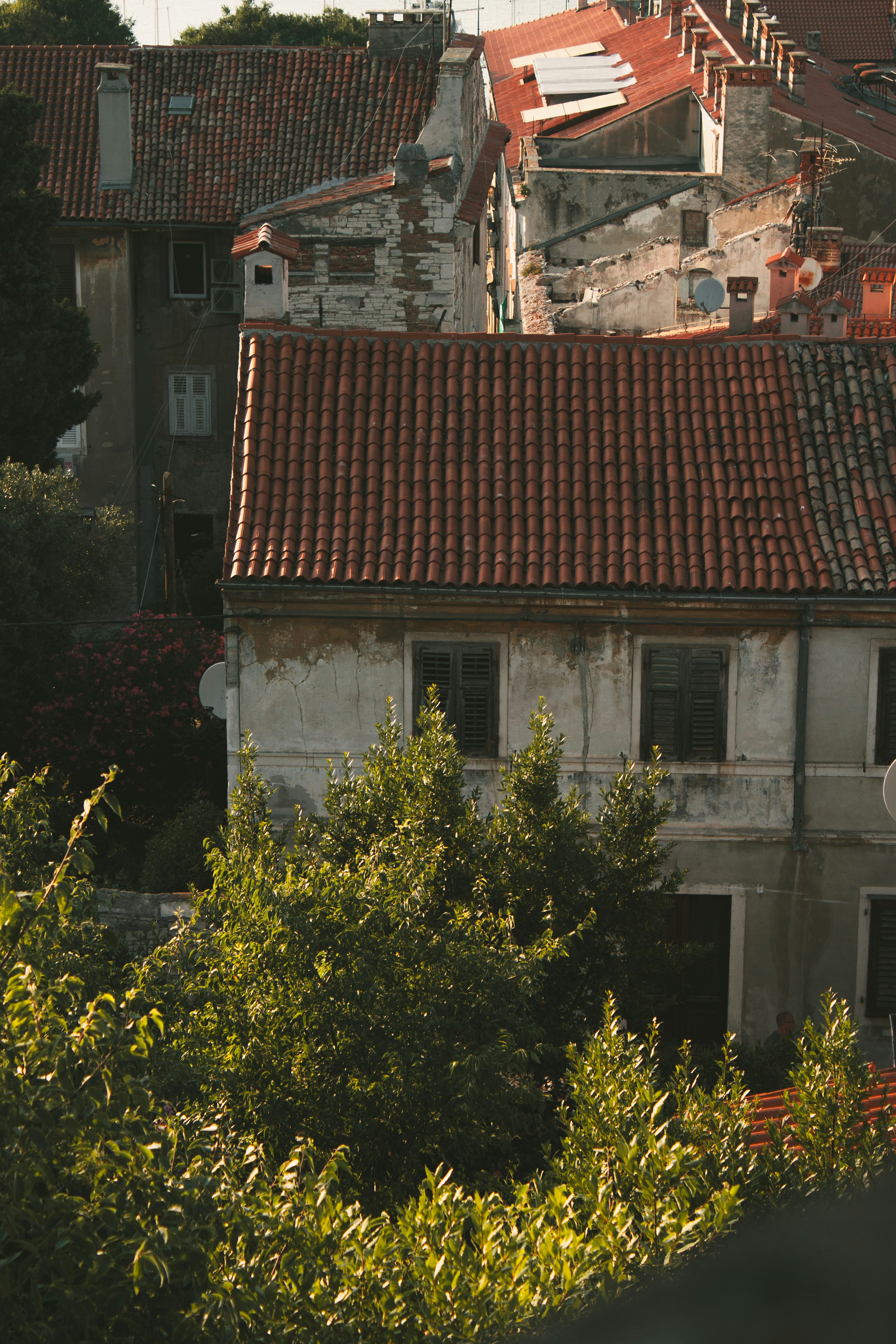 Photo by puskas_dominik