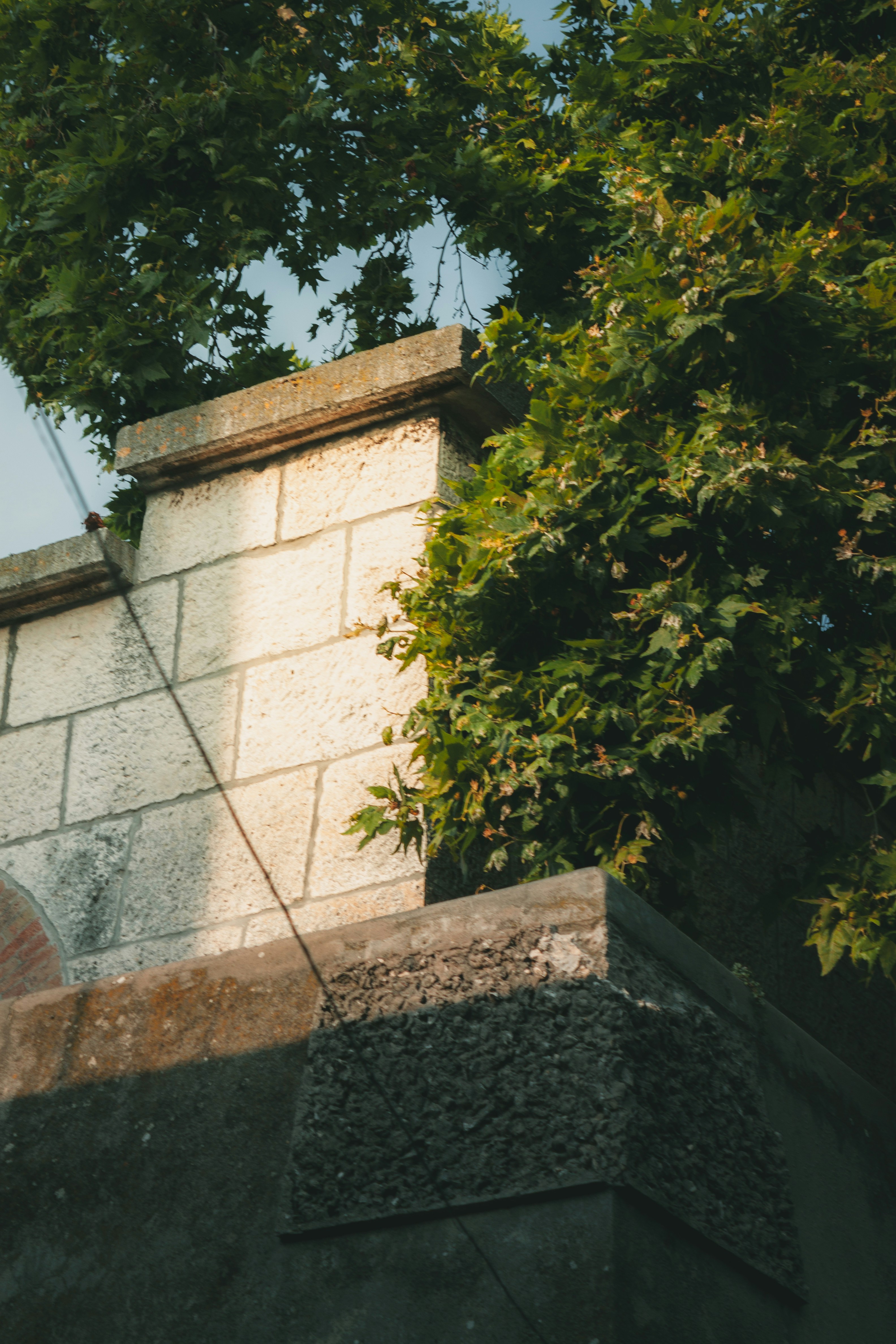 Photo by puskas_dominik