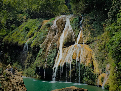 A beautiful waterfall flows amidst lush greenery.