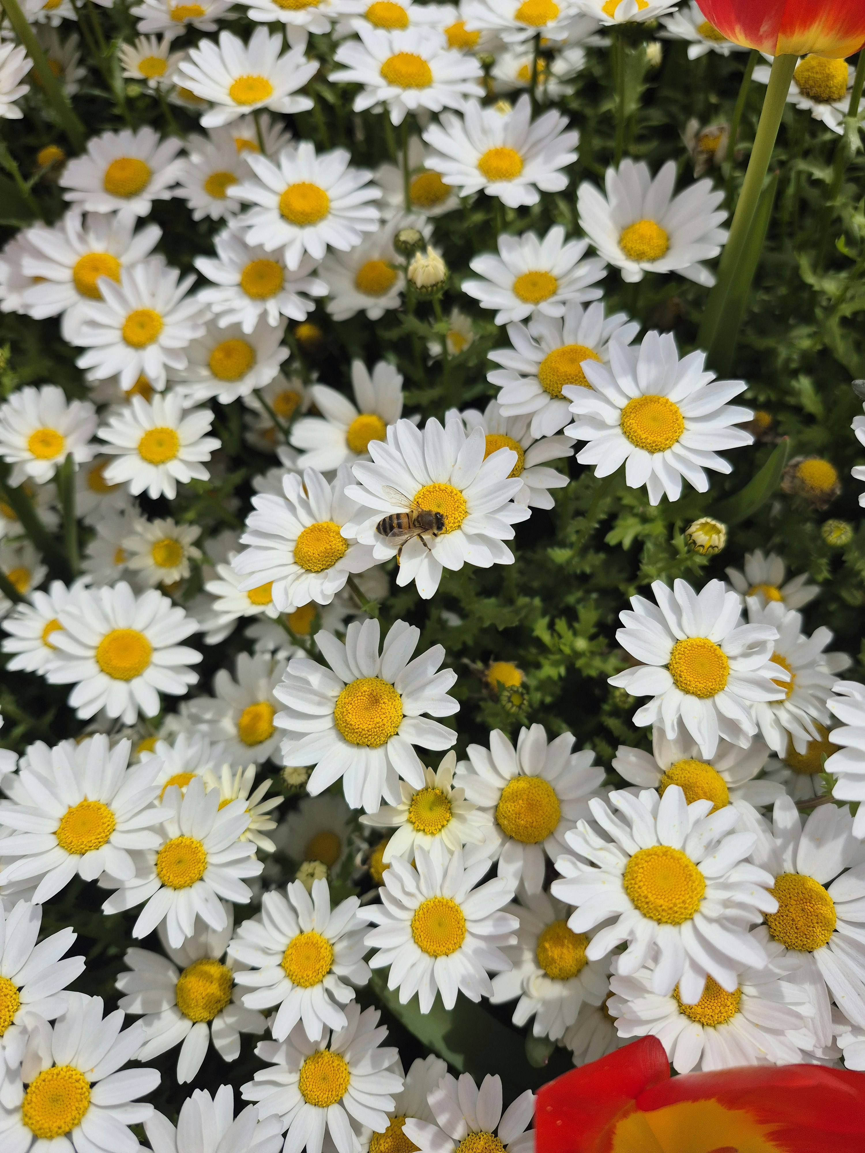 Photo by seymauzunlar