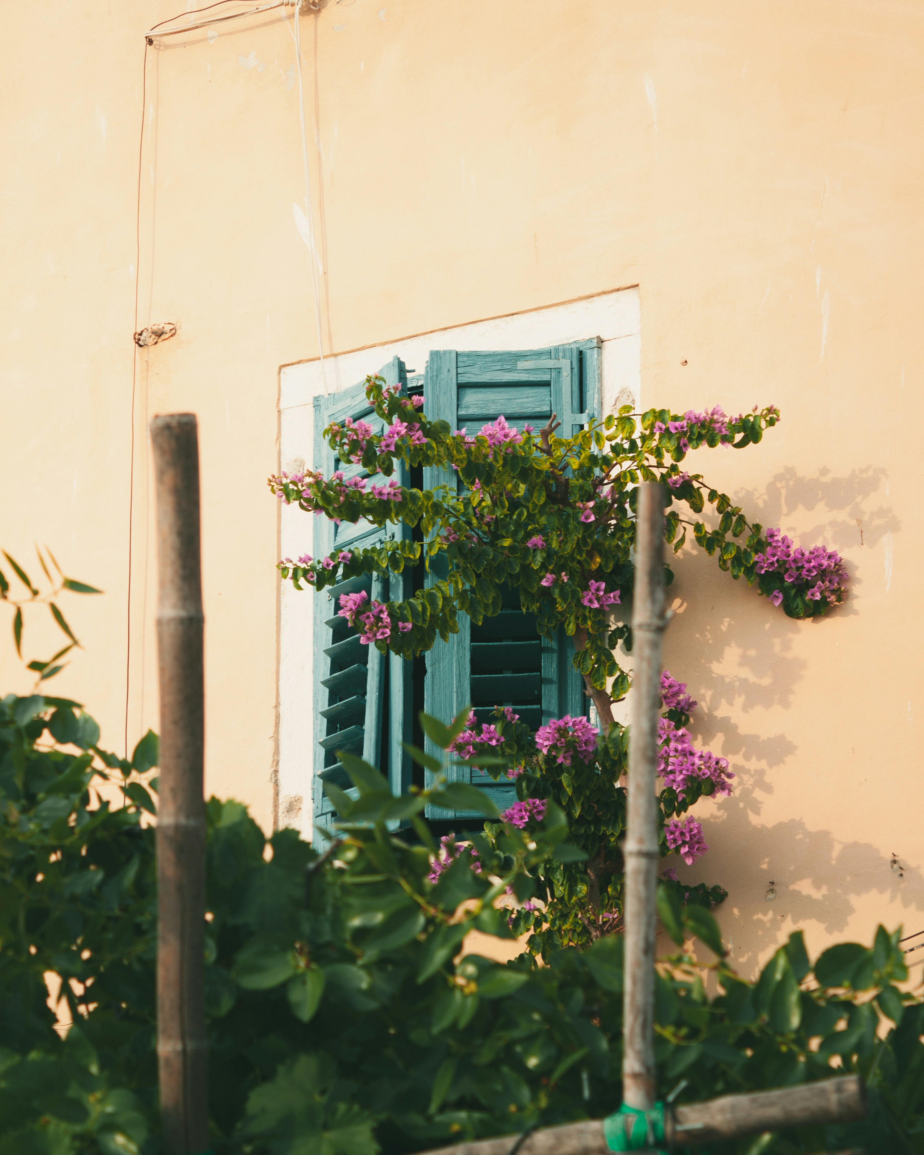 Photo by puskas_dominik