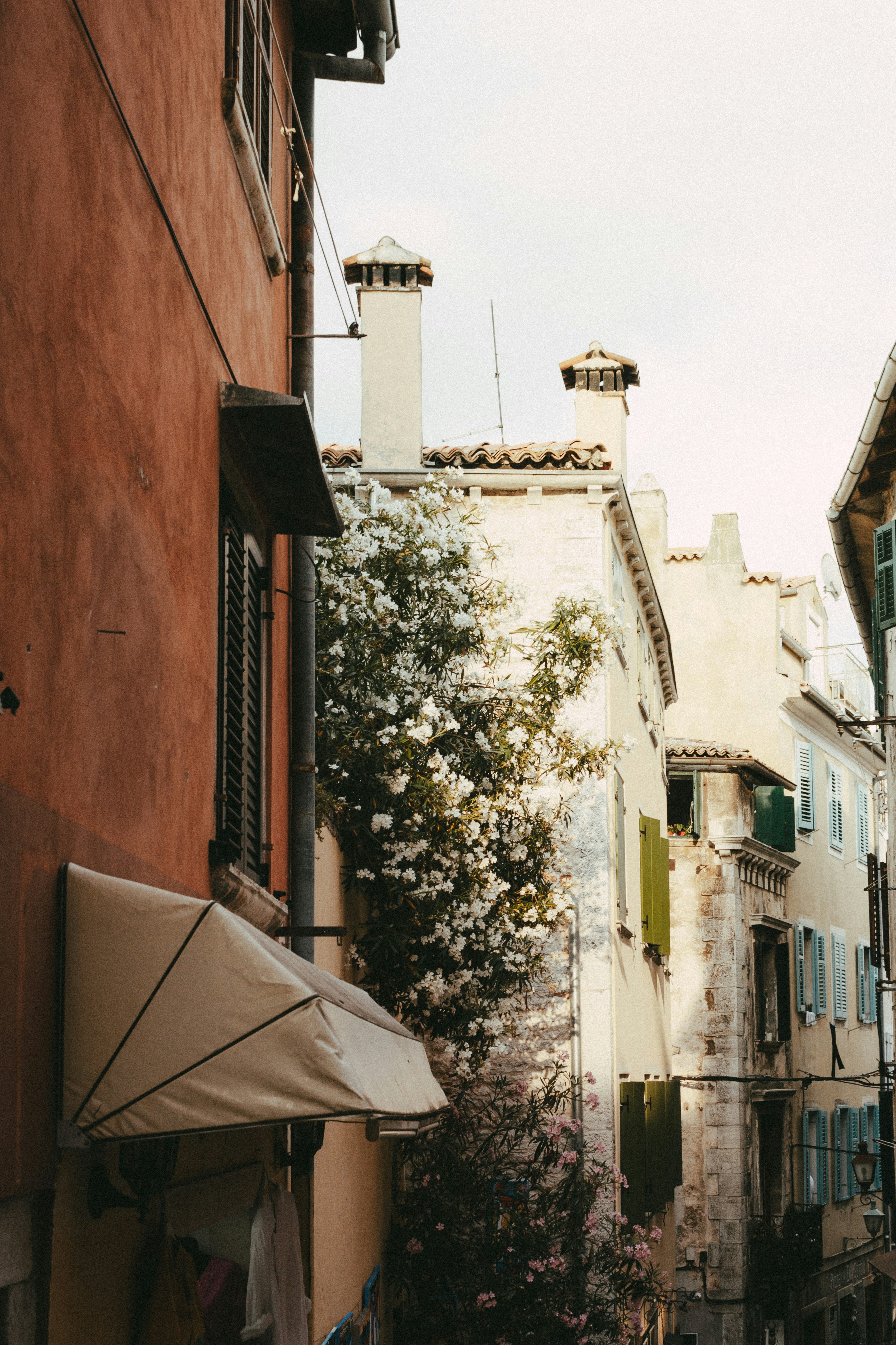 Photo by puskas_dominik