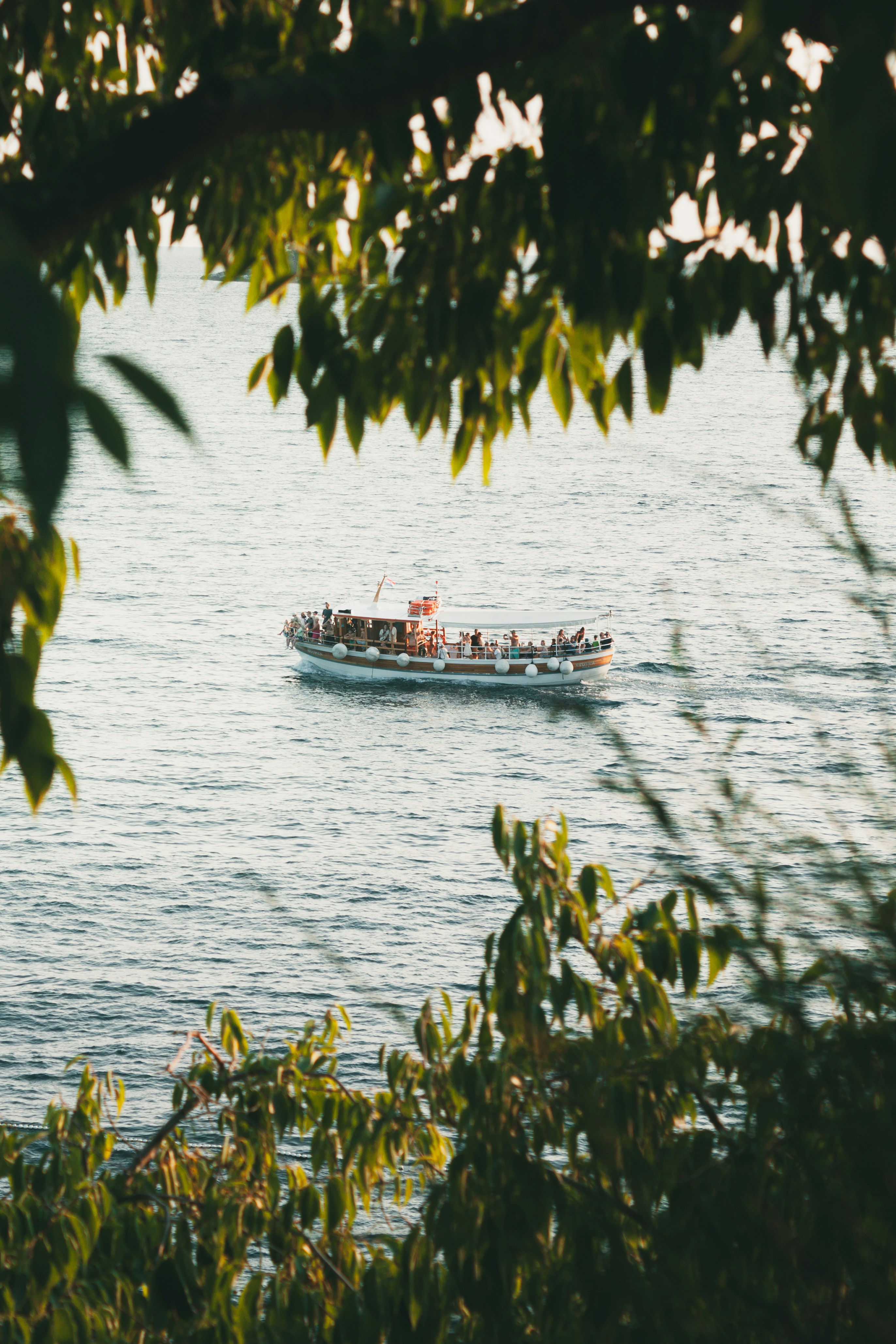 Photo by puskas_dominik