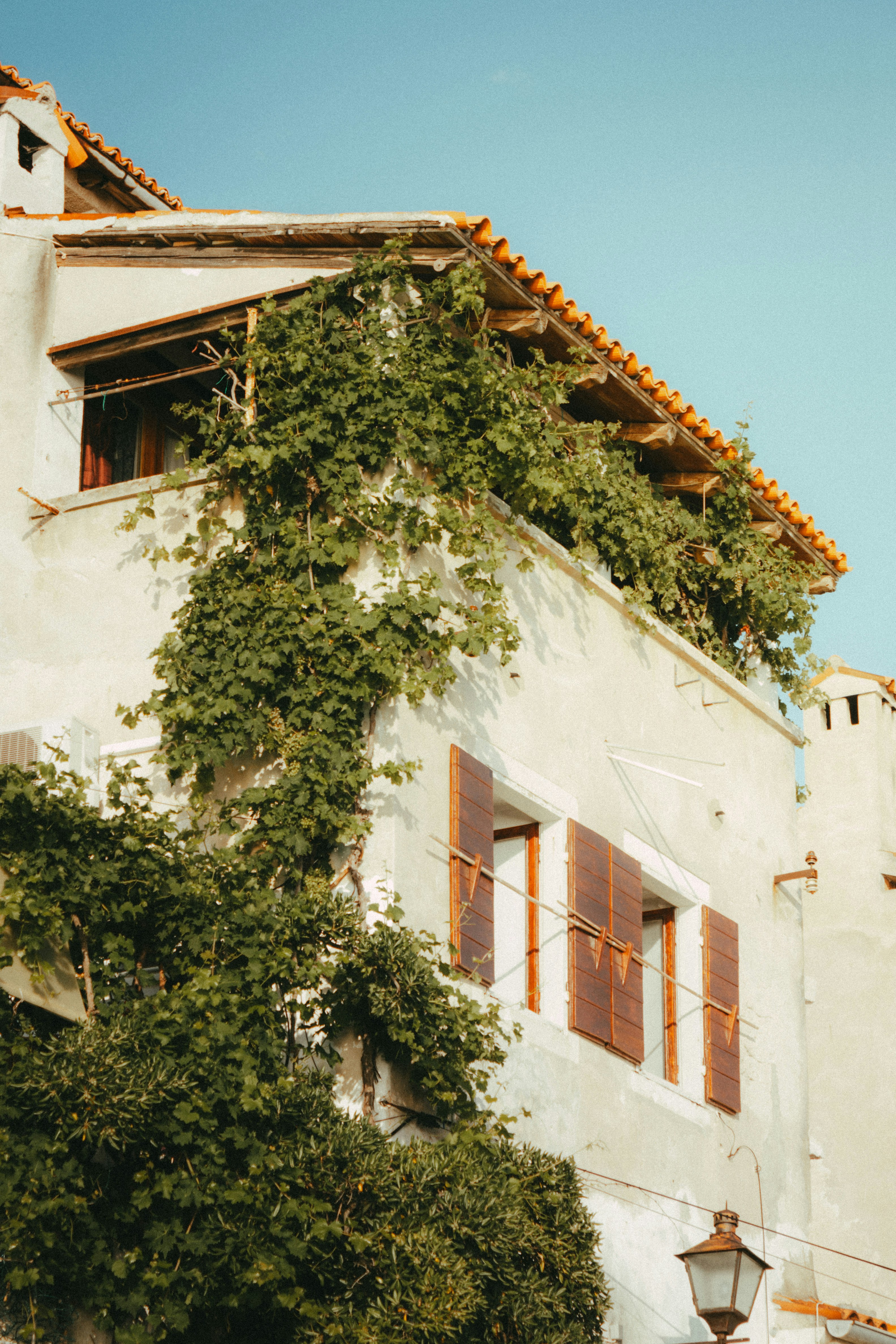 Photo by puskas_dominik