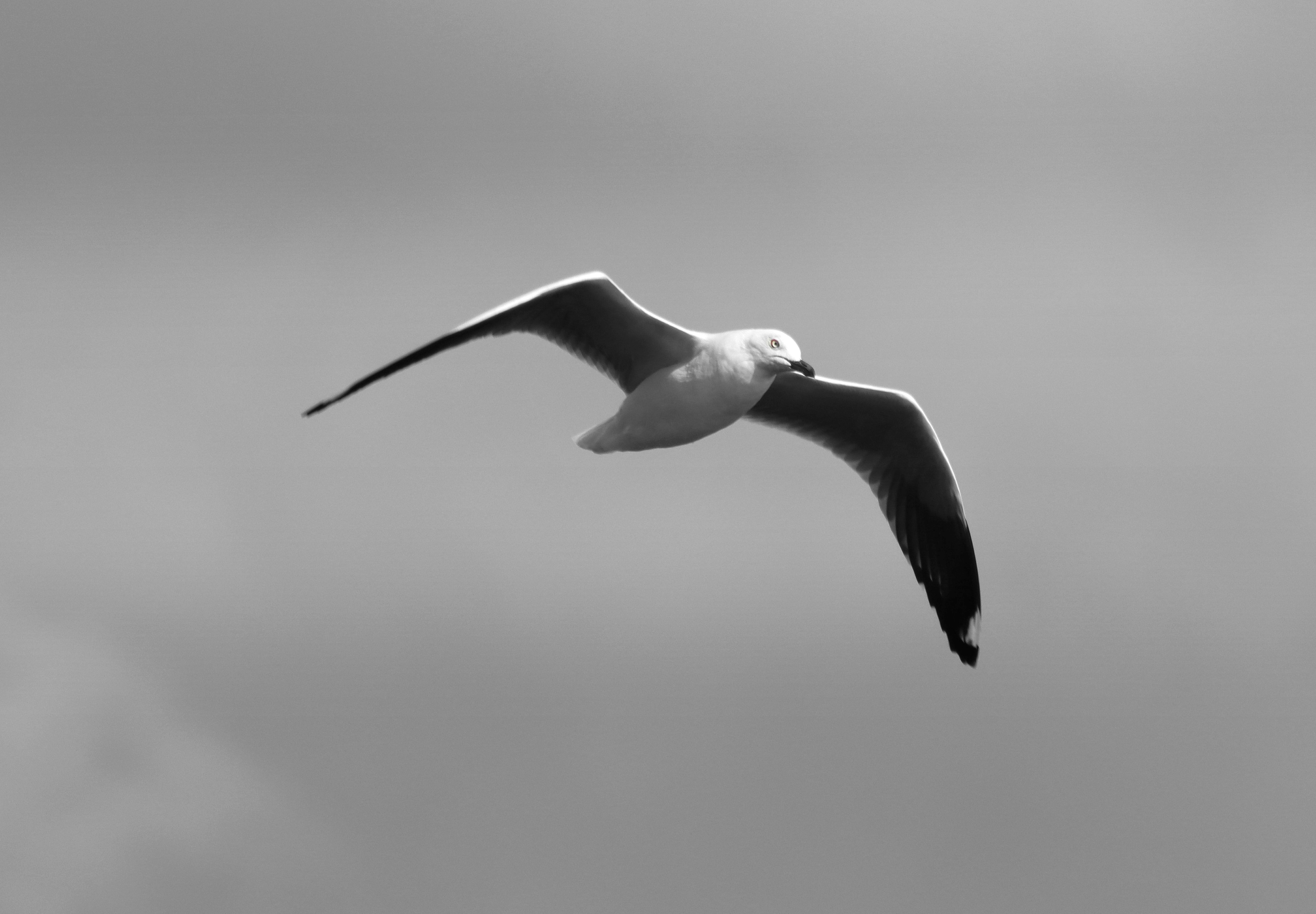 Photo by craigmanners_com