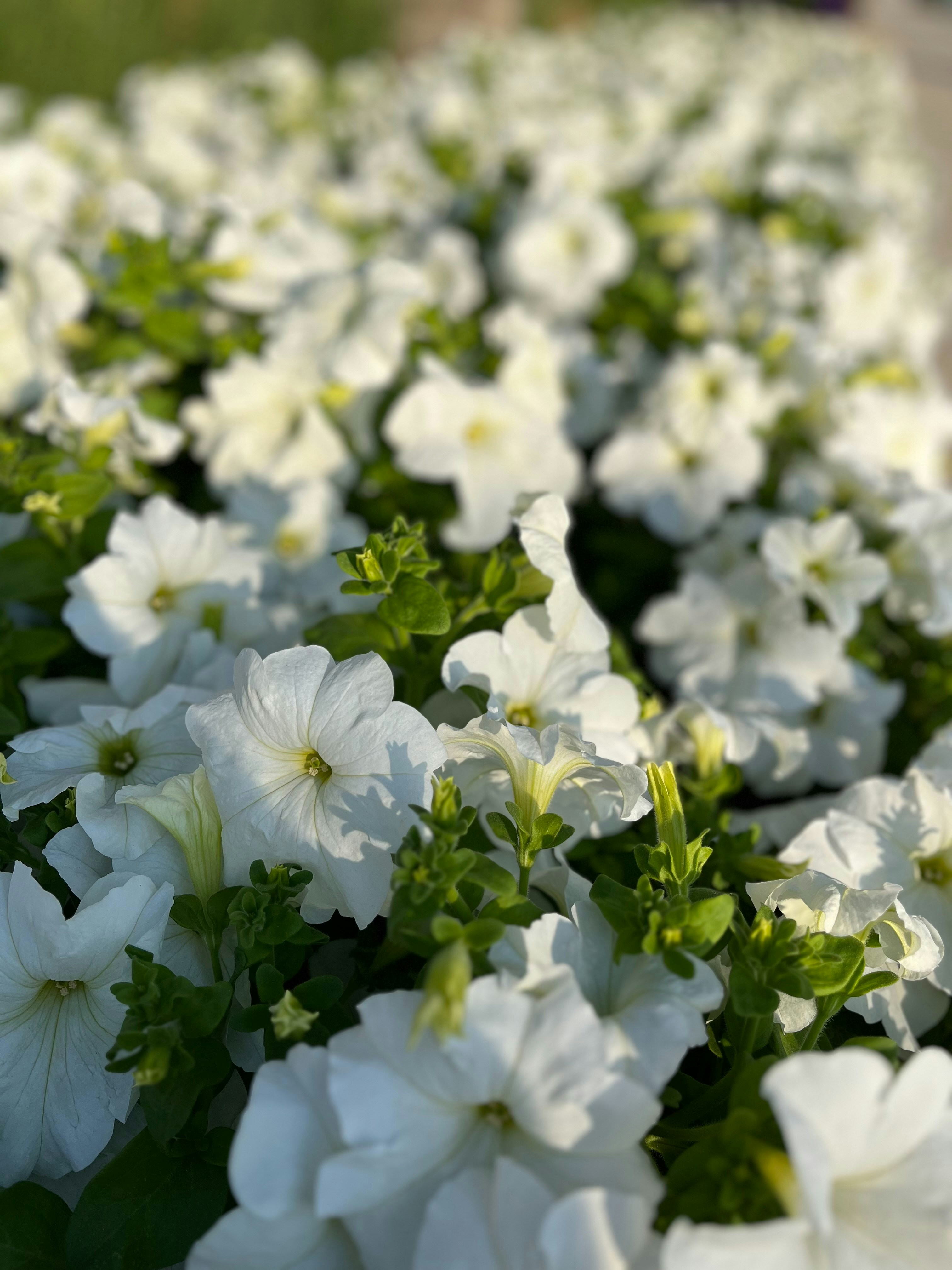 Photo by marinasail_701